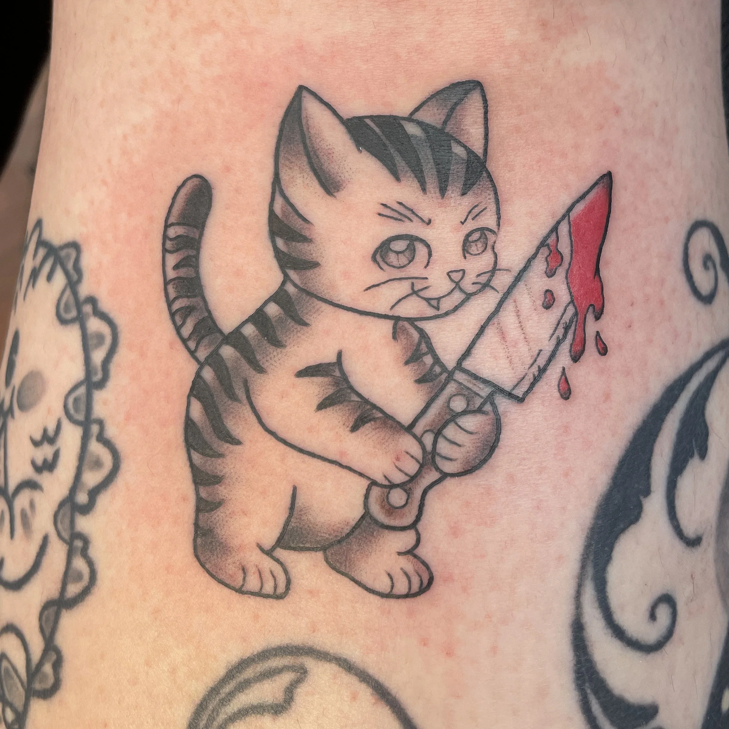 lupe_art_stabby_cat.jpg