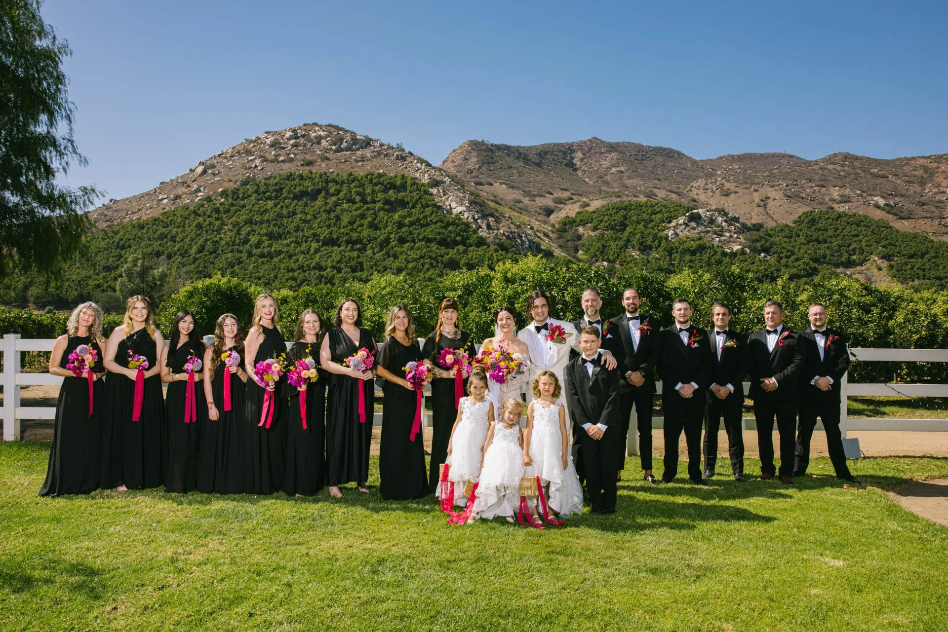 A large group of wedding guests, including bridesmaids in black dresses, groomsmen in tuxedos, and children in white dresses, posing outdoors with mountains and trees in the background.