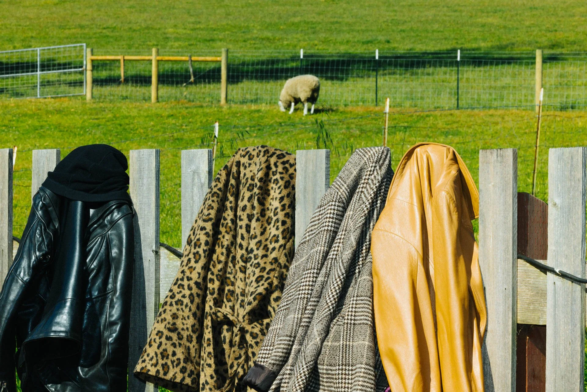 Coat rack with multiple jackets hanging in front of a wooden fence, overlooking a green field with a sheep grazing in the background.