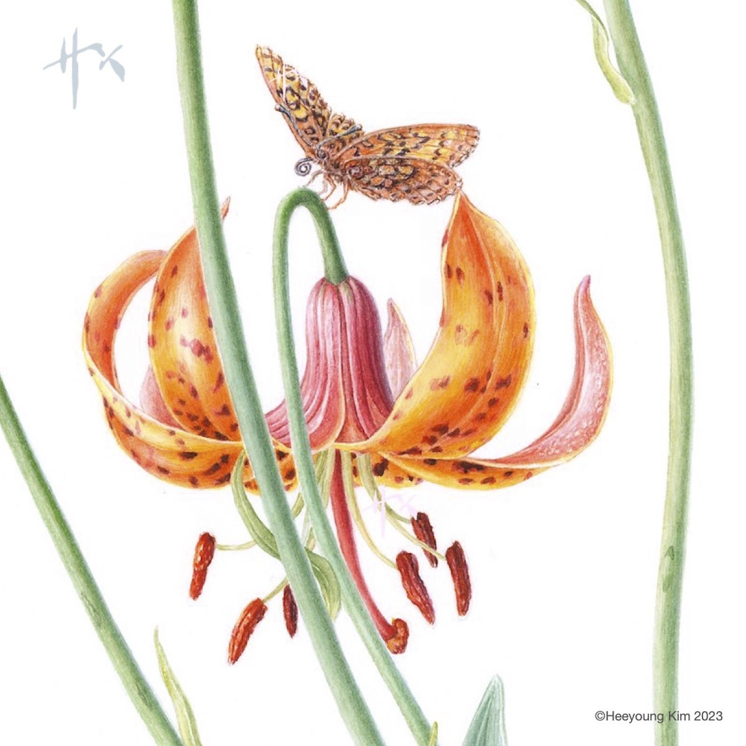 Newsletter subscription…