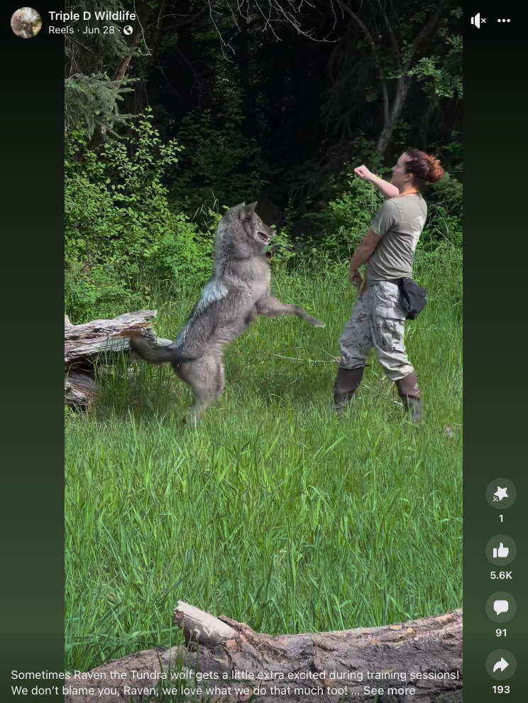 Screen Shot 2023-08-29 at 12.08.42 PM.png