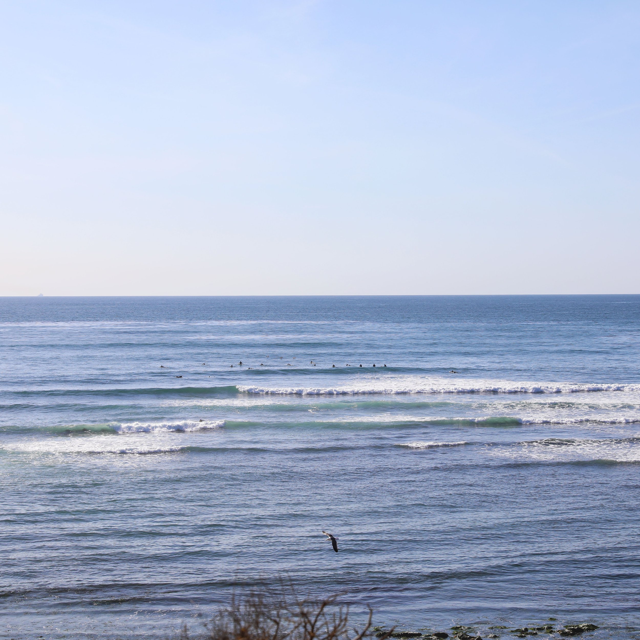 Landscape image of the ocean in San Diego, CA.