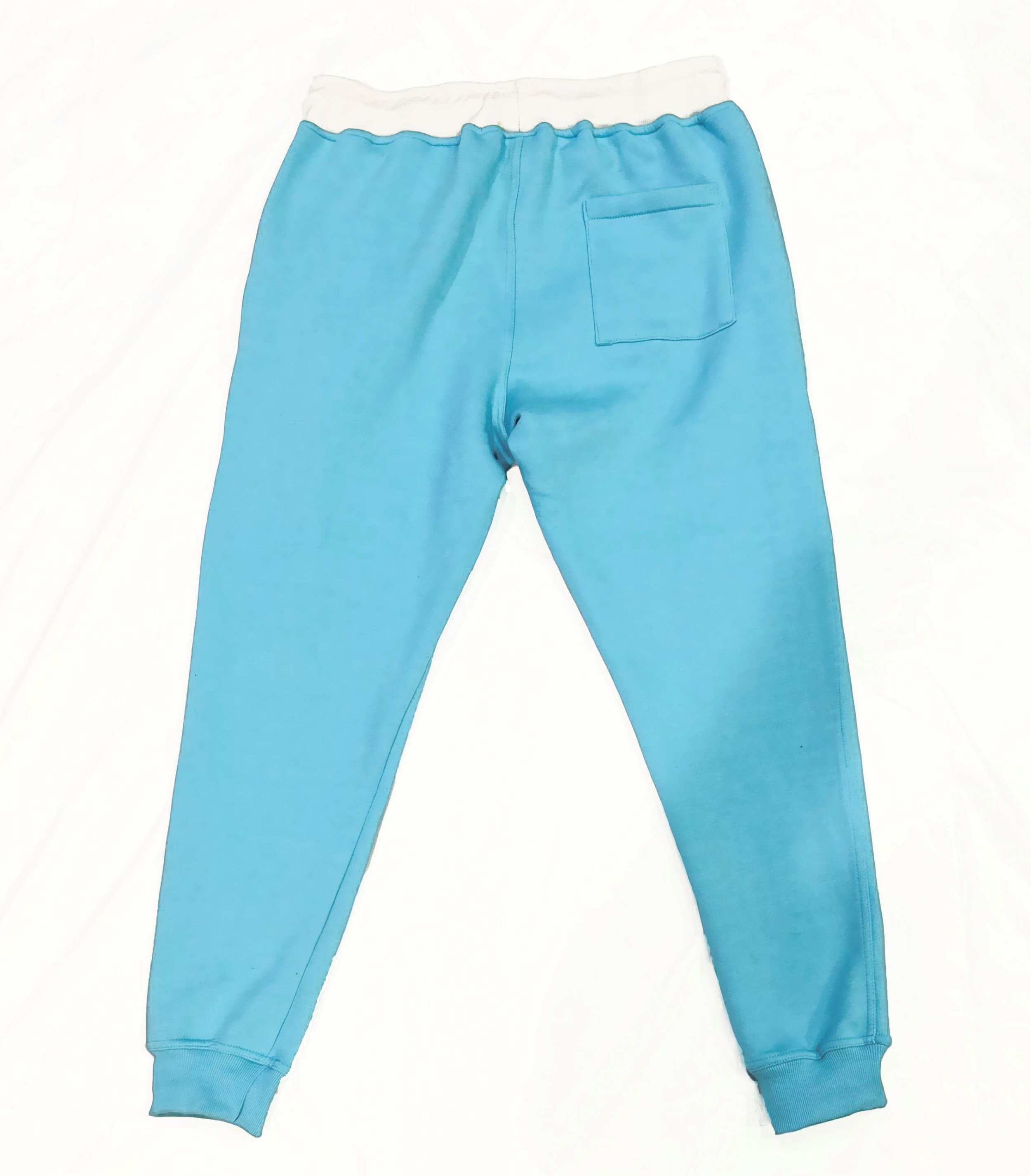 Cold BB Jogger back.jpg