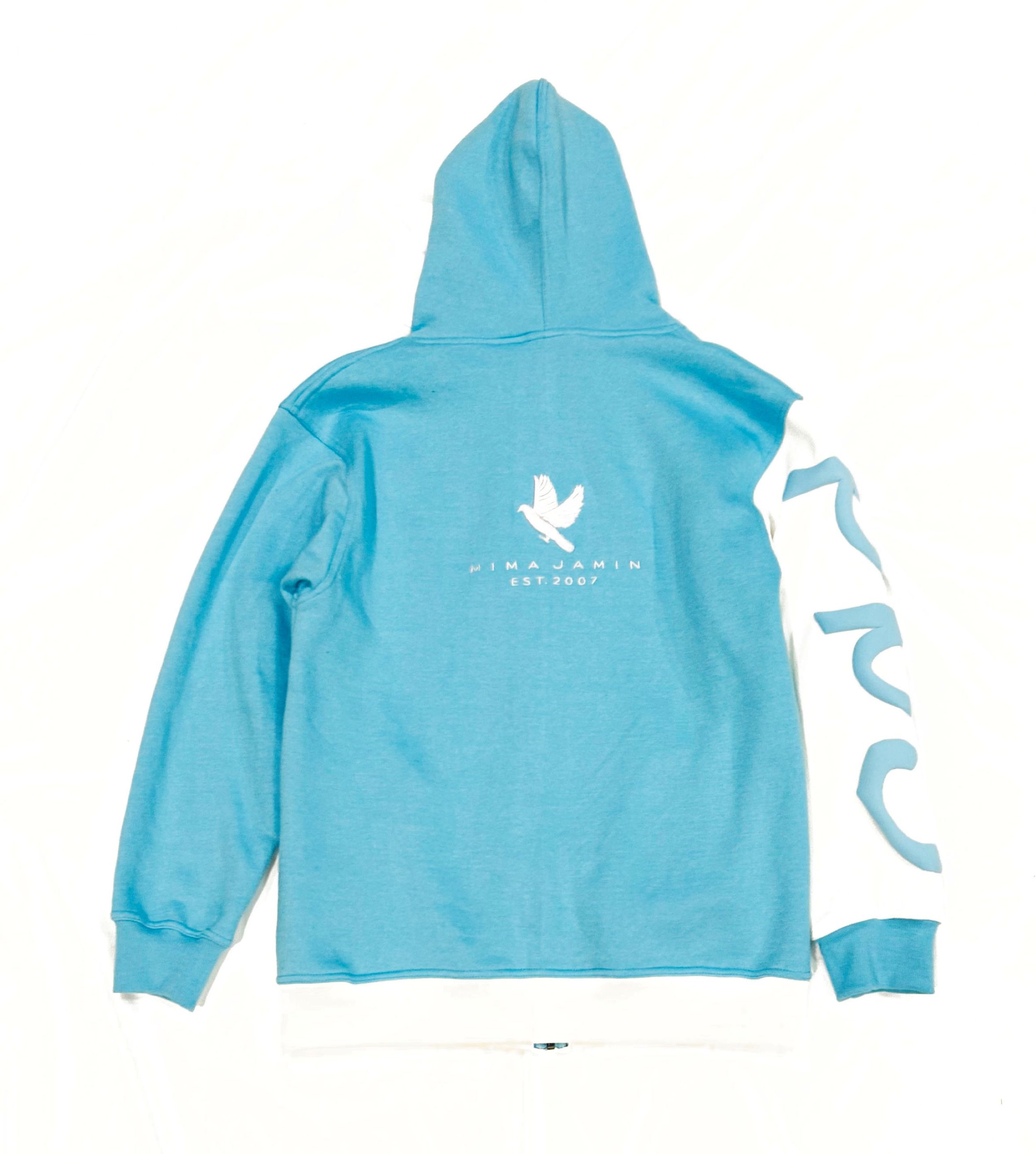 Cold BB Hoodie back 2.jpg