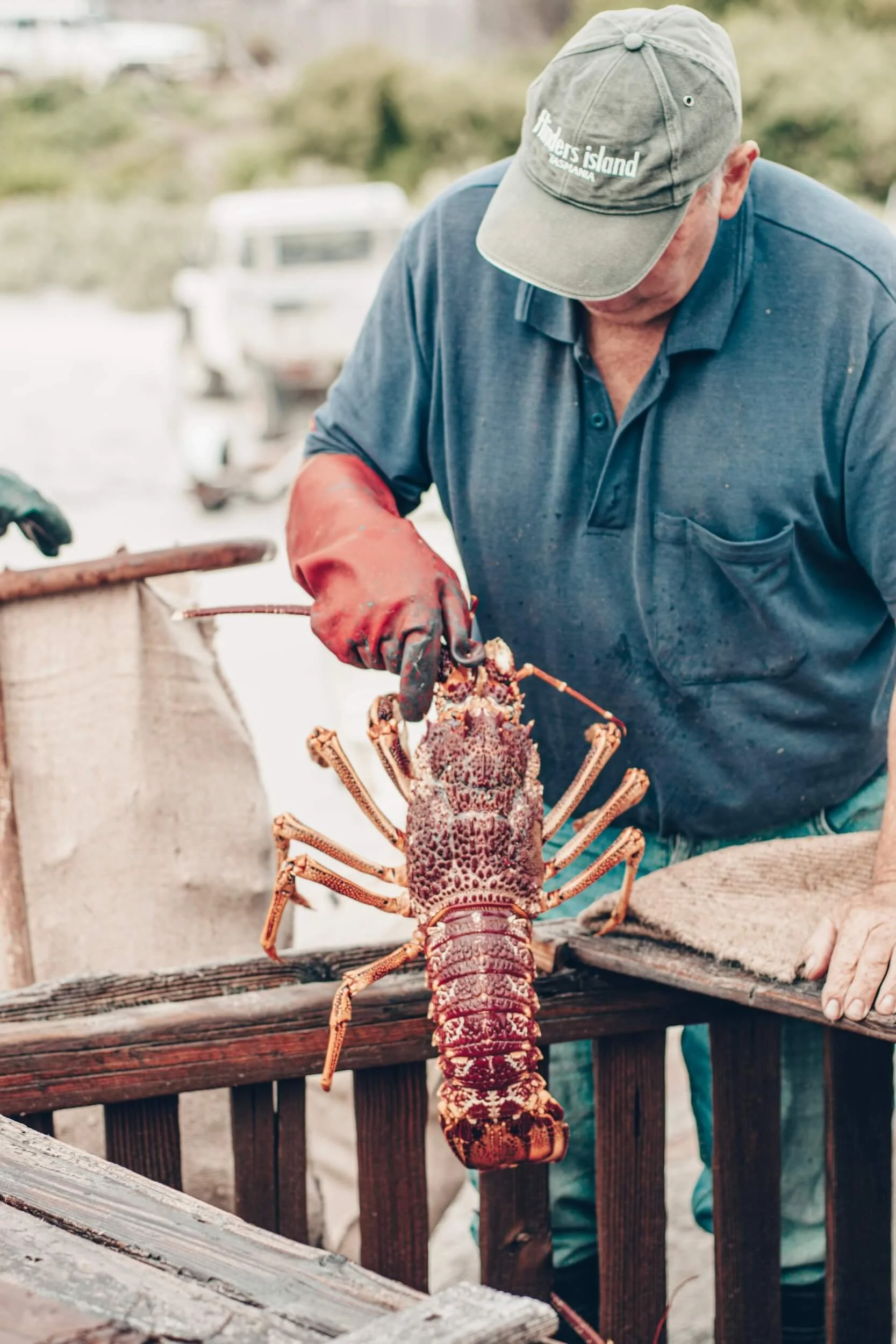 Seafood Menu — Hammond Seafoods