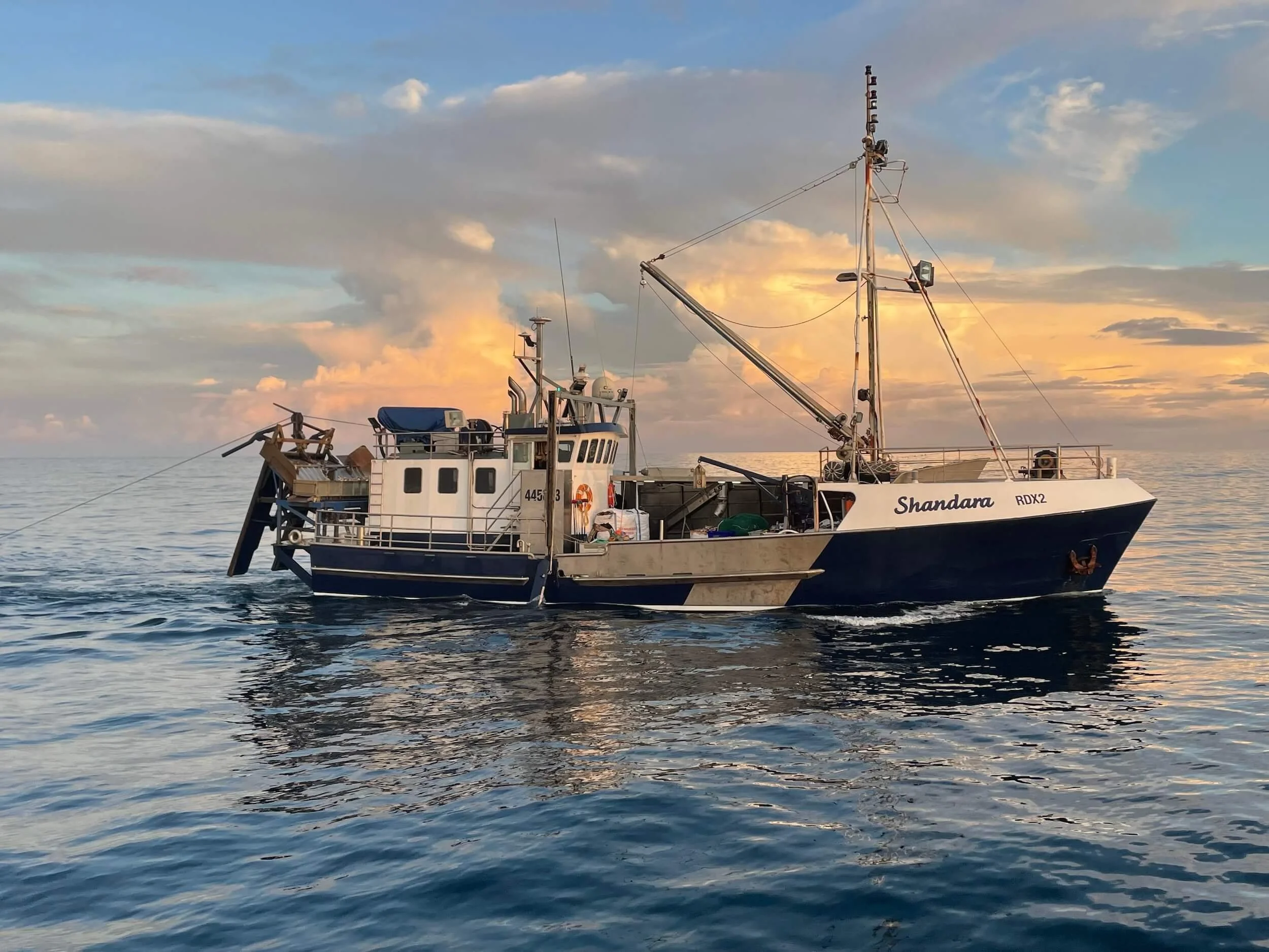 Hammond Seafoods