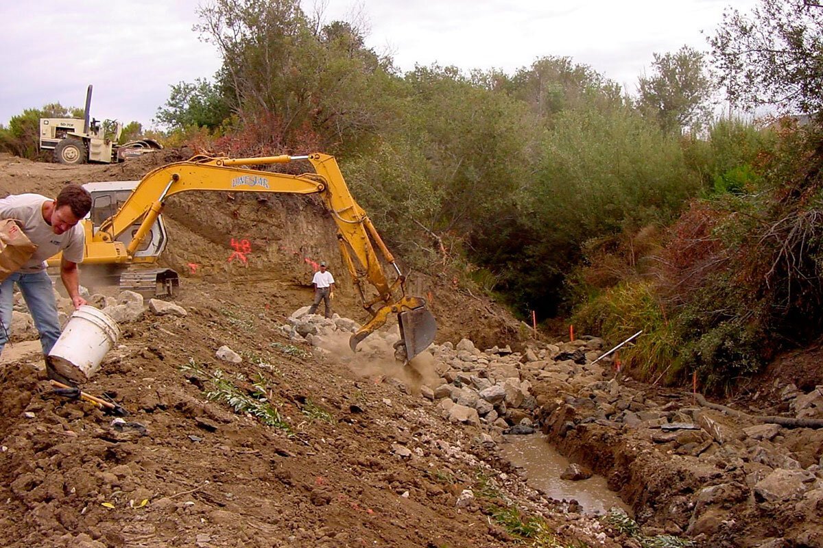 Restoration with a Fire Resilience Focus: Riparian Restoration in Goleta Valley to Reduce Fire Risk