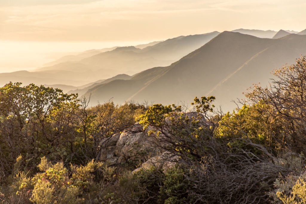 Coordination of WUI Projects Across Management Entity Boundaries for example with LPNF, VAFB, Land Trusts, and County Parks