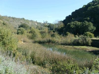 Inventory of Needed Riparian Restoration