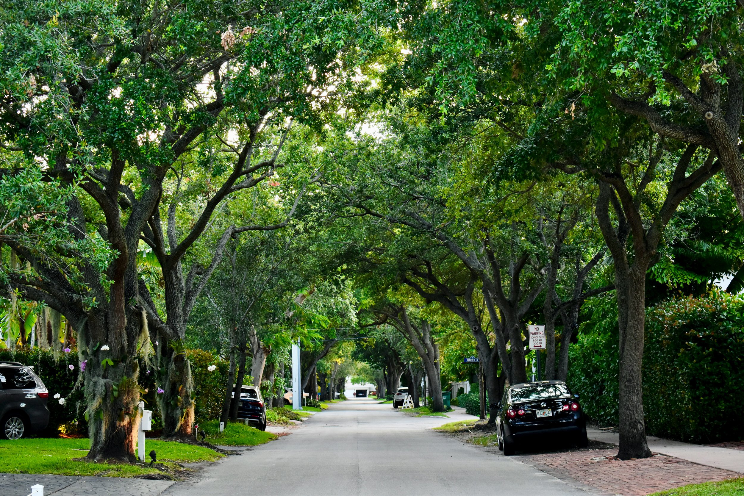 Enhance Street Trees and Parks for Heat &amp; Drought Resilience