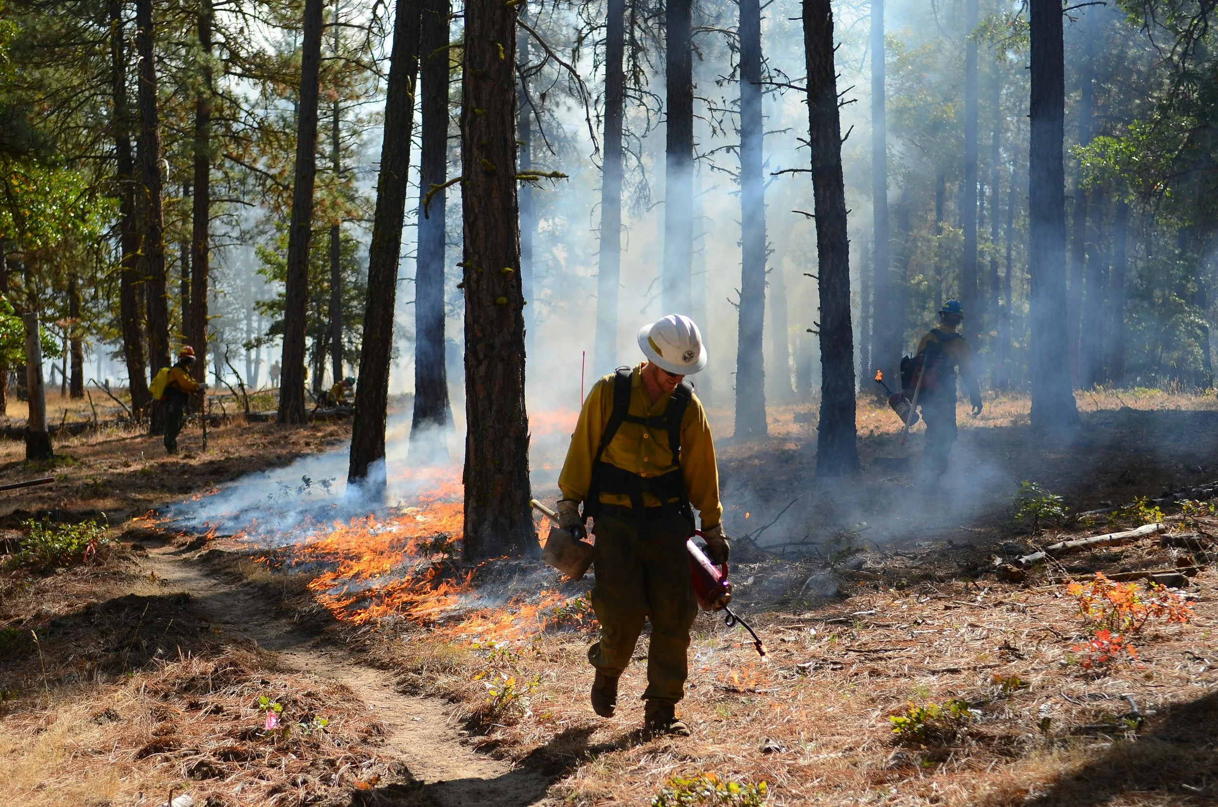 Develop the Wildfire Resilience Workforce 