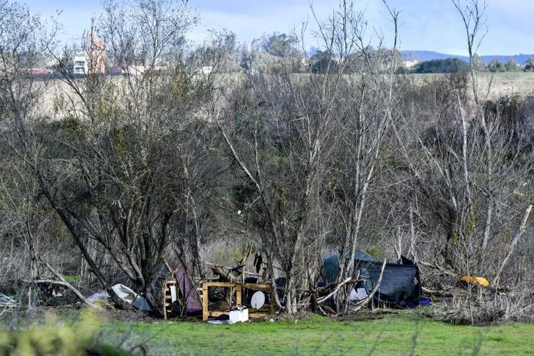 Vegetation Management in Santa Ynez Riverbed