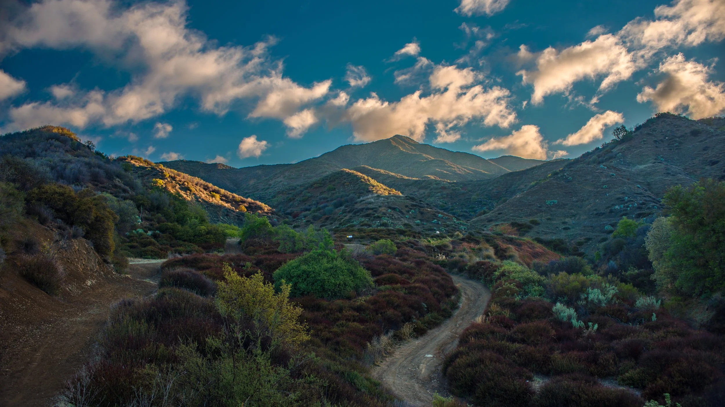 Wildfire Resilience Collaborative Of Santa Barbara County