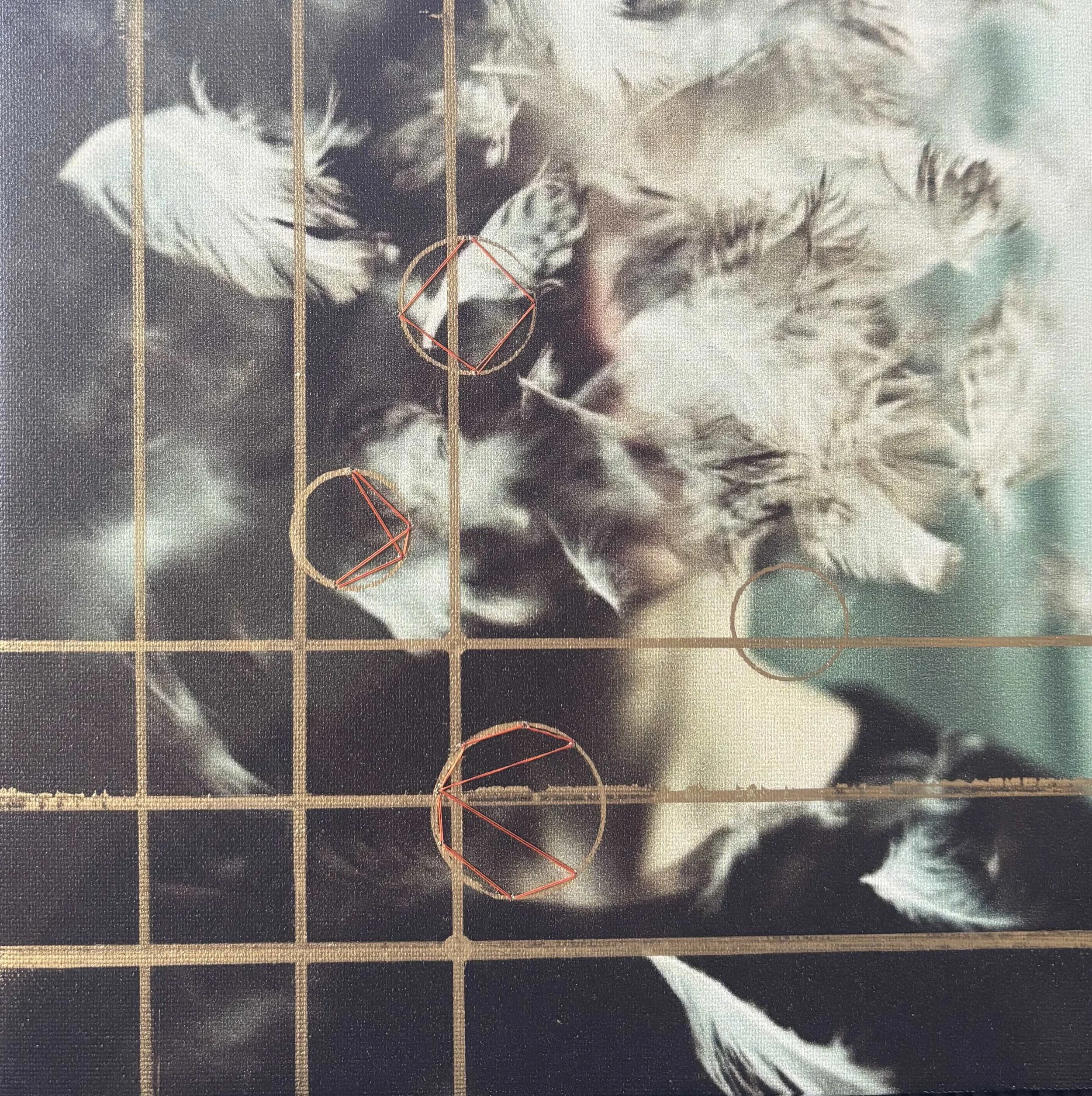 Feathers