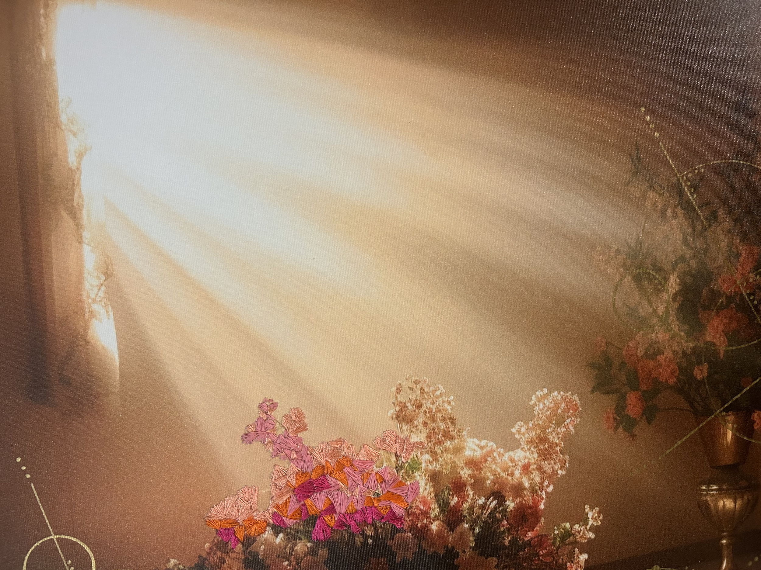 IMG_8183.png