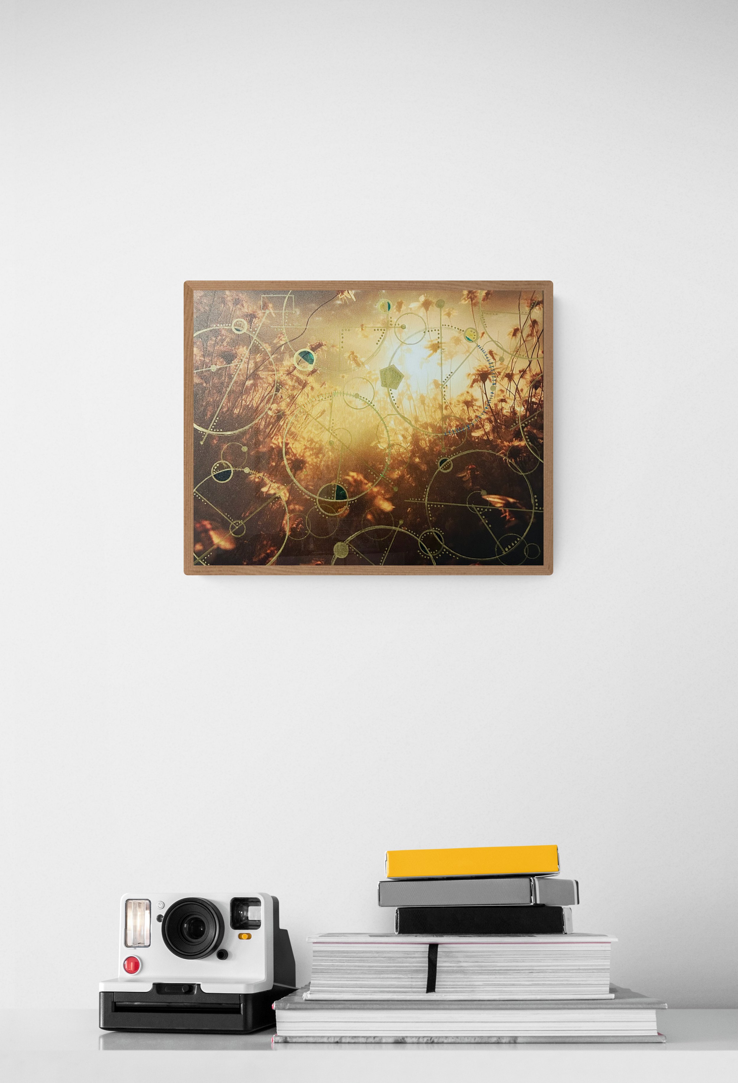 Photography_enthusiasts_shelf (78).jpg
