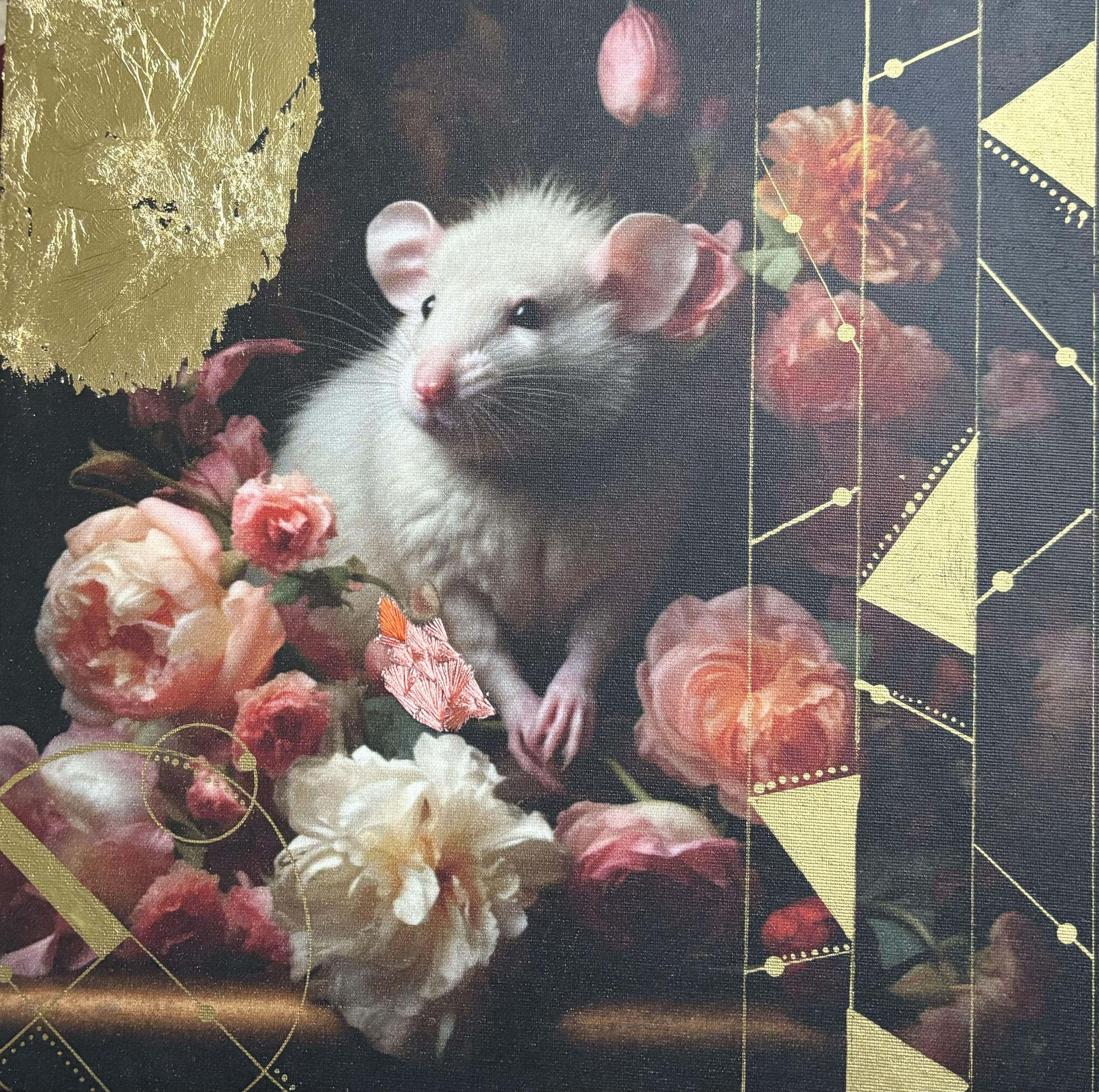 Rat