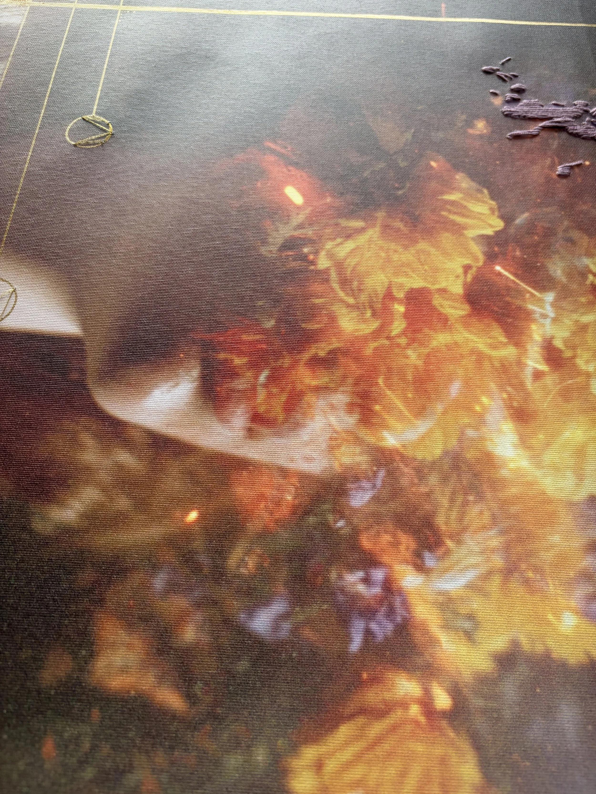 IMG_4805 2.jpg