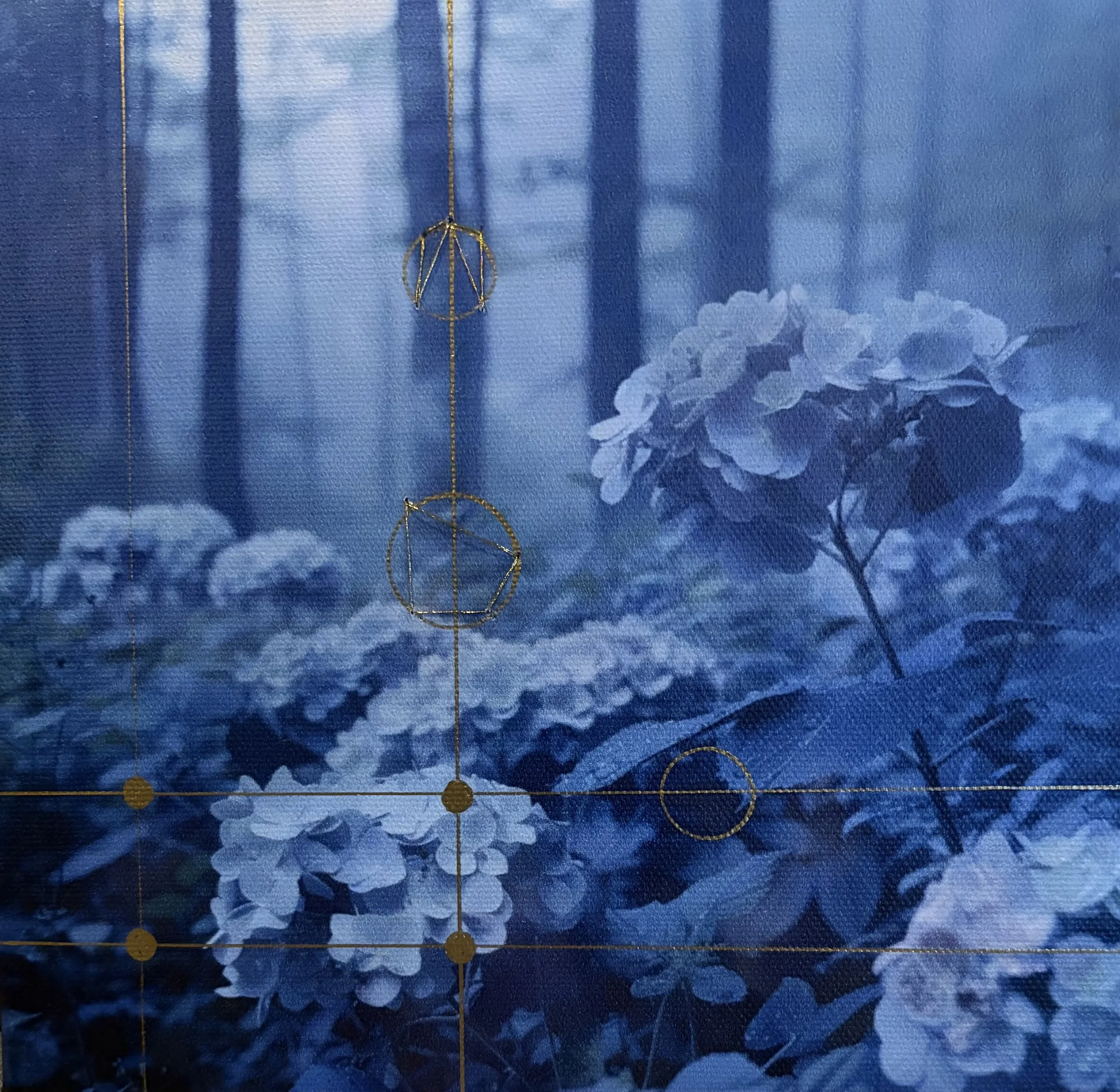 Blue Mnemosyne