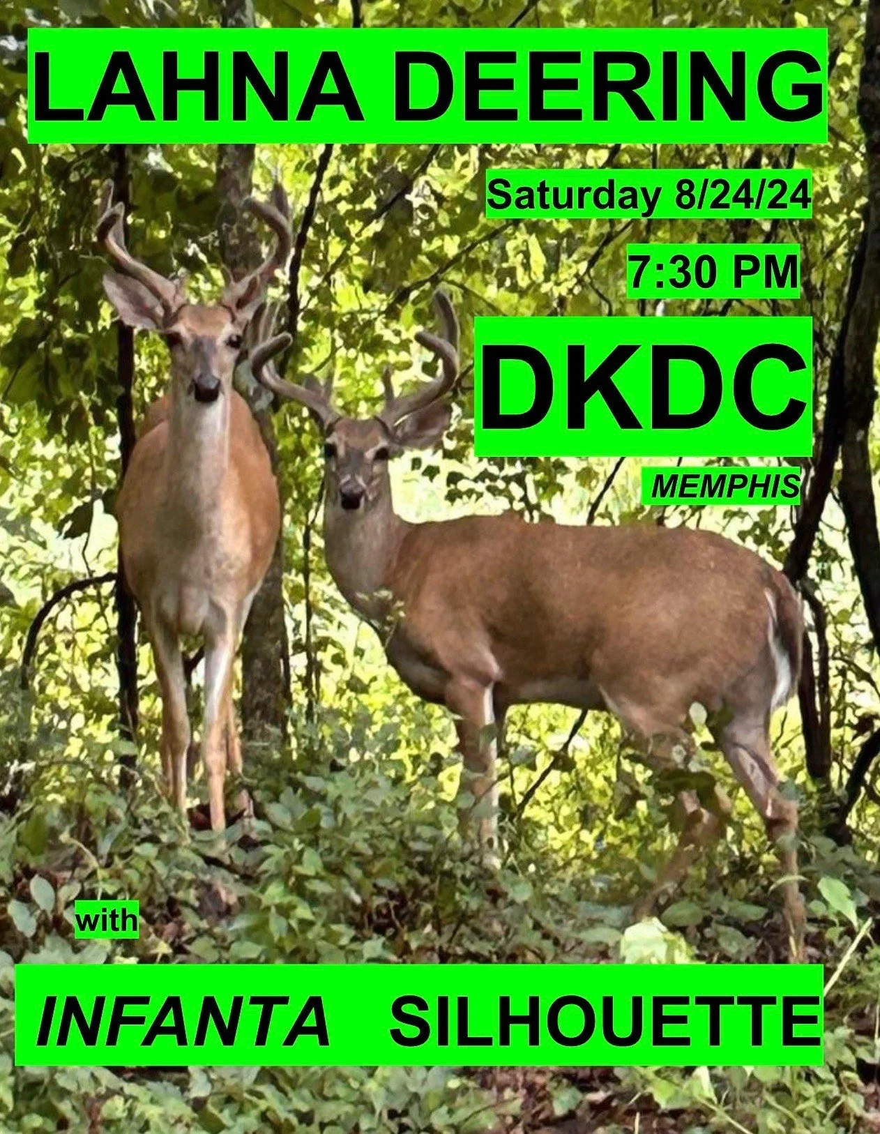 DKDC_Memphis_August_24_2024_flyer.webp