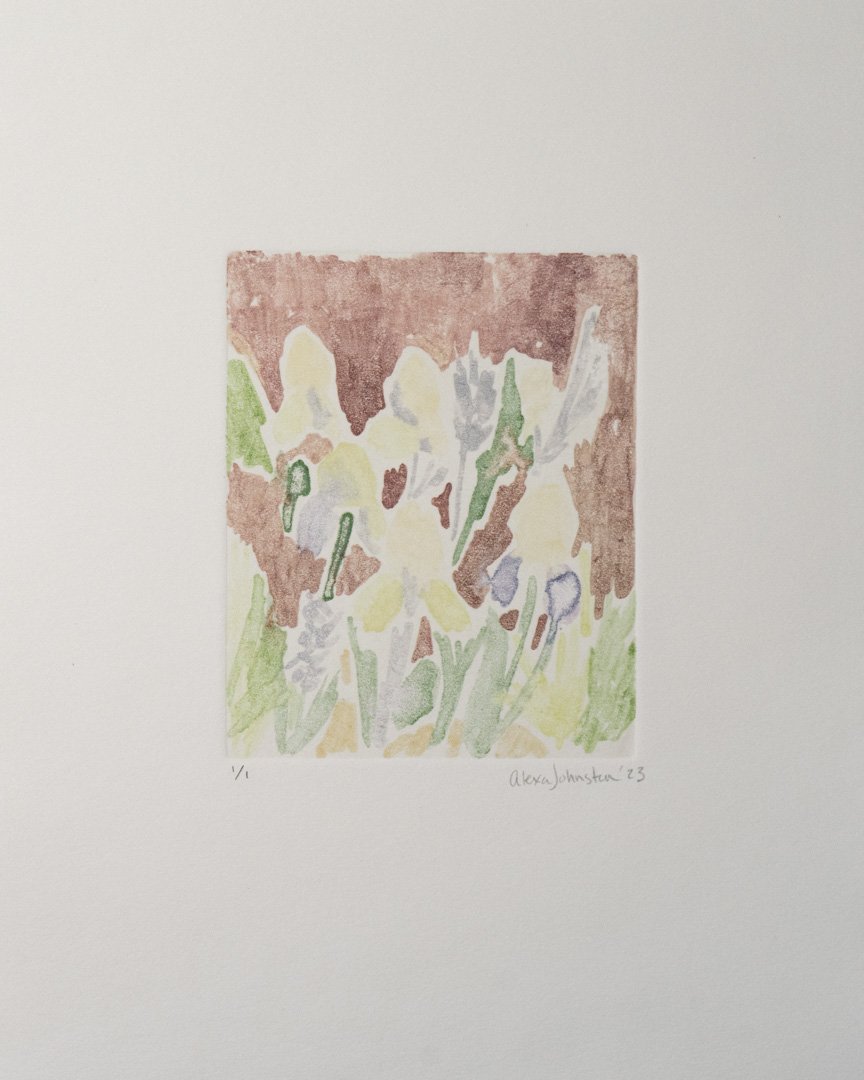 Alexa_Johnston_Monotypes_November_2023-209.jpg