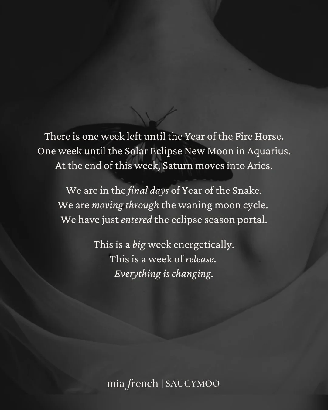 We are in the final days of the Year of the Snake, moving through the waning moon cycle and eclipse season, a portal that will remain open for the next month. This is deep shedding territory.

If things feel uncomfortable right now, if fear, resistan