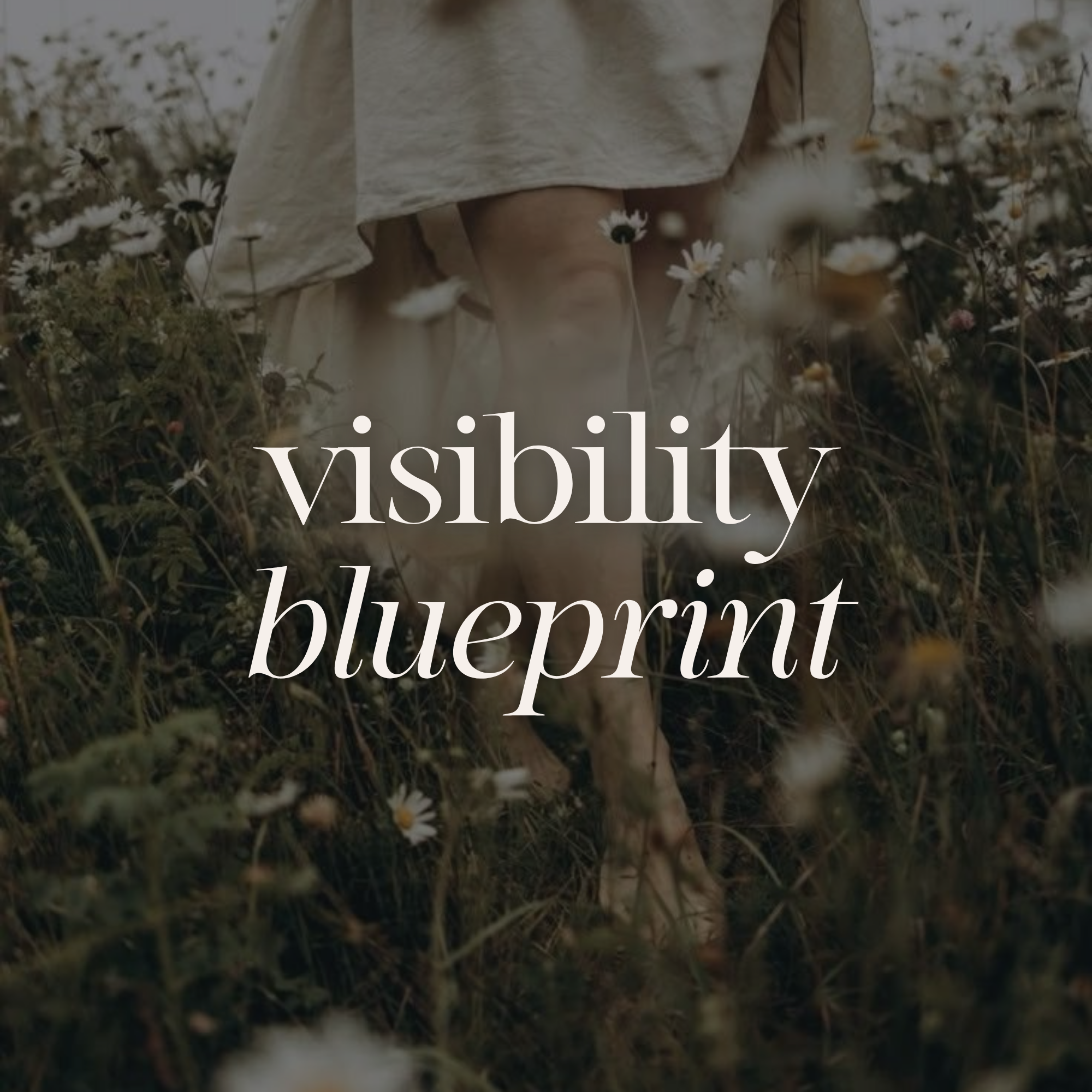 Visibility Blueprint