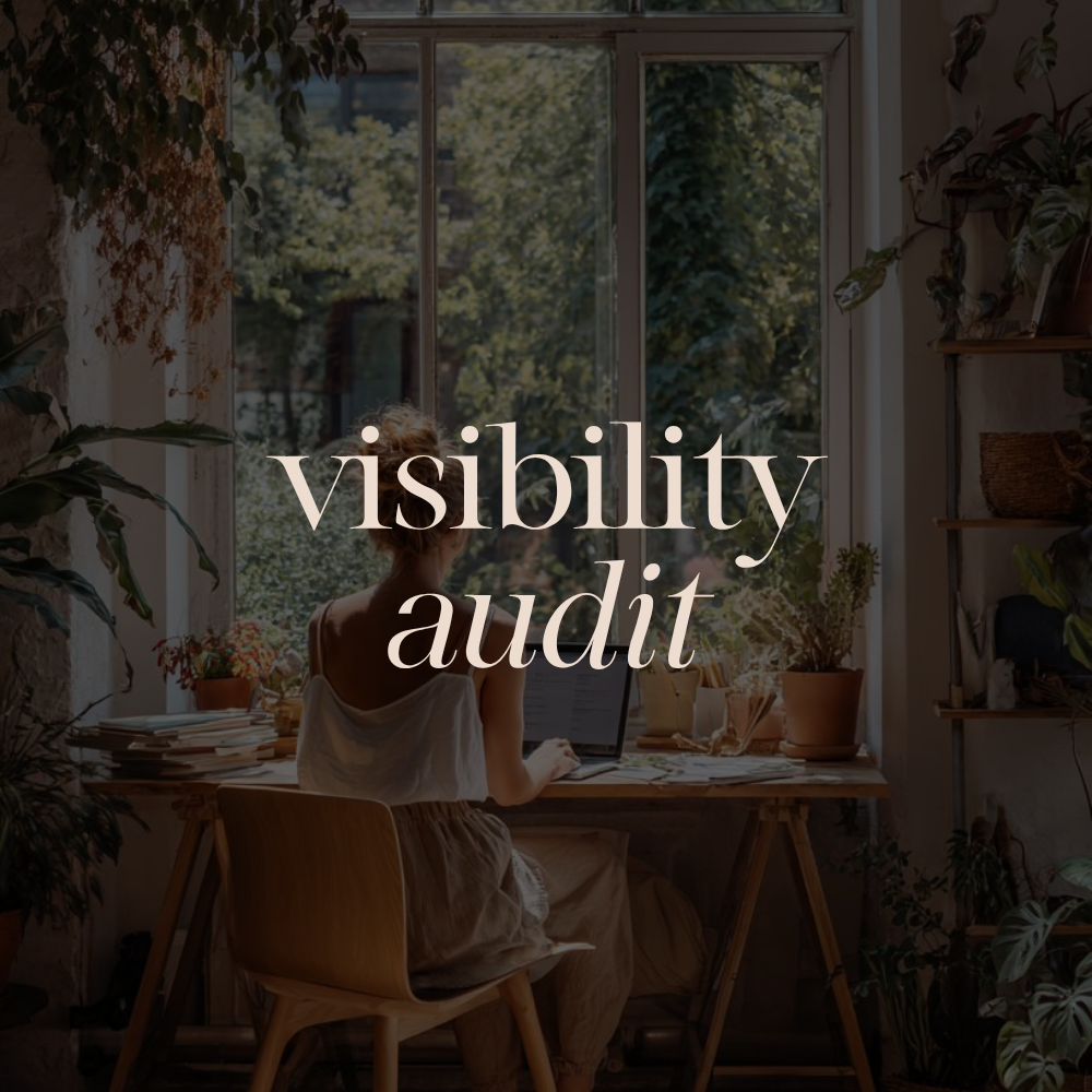Business Visibility Audit