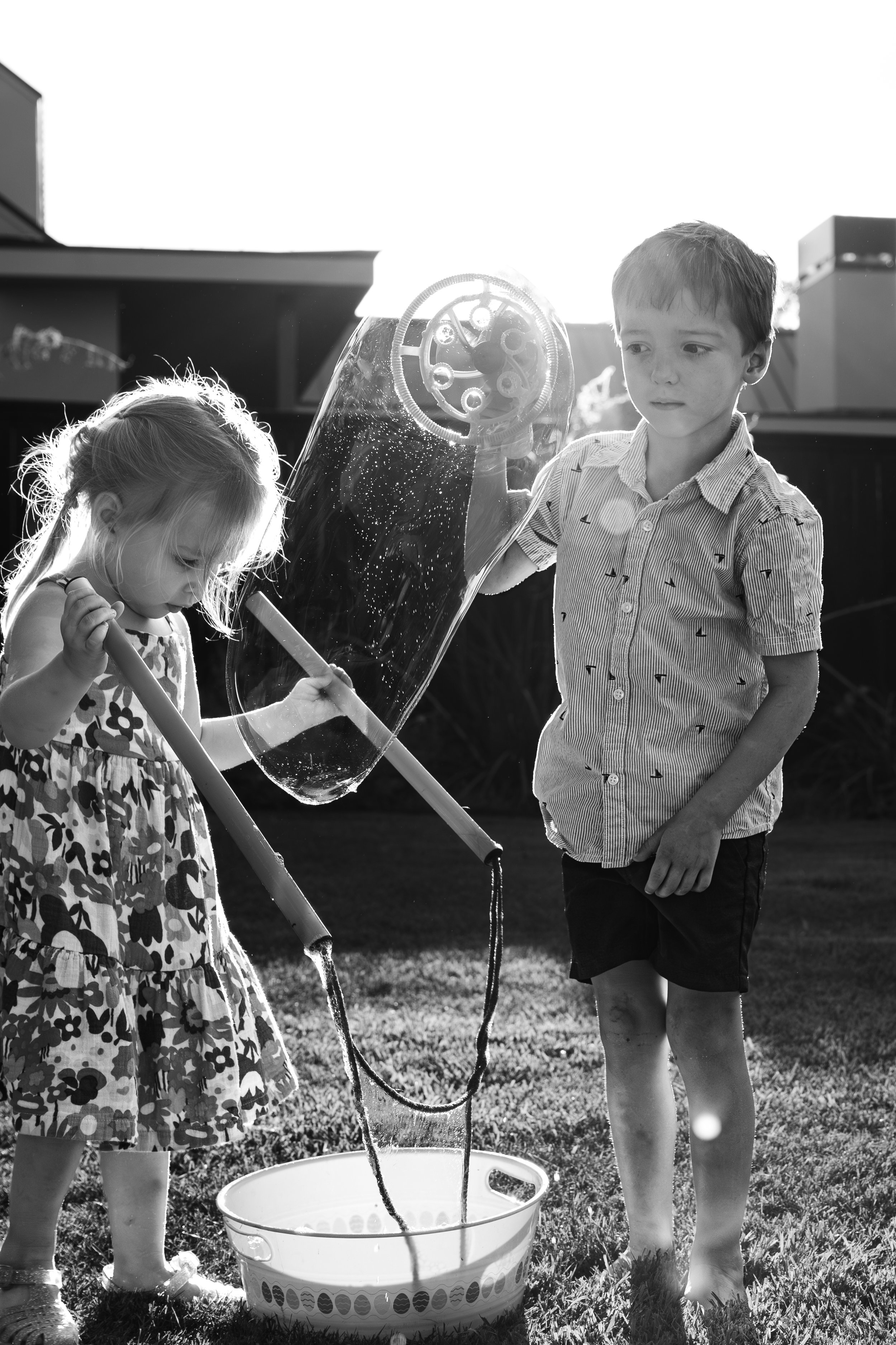 25-tulig-family-backyard-61.jpg