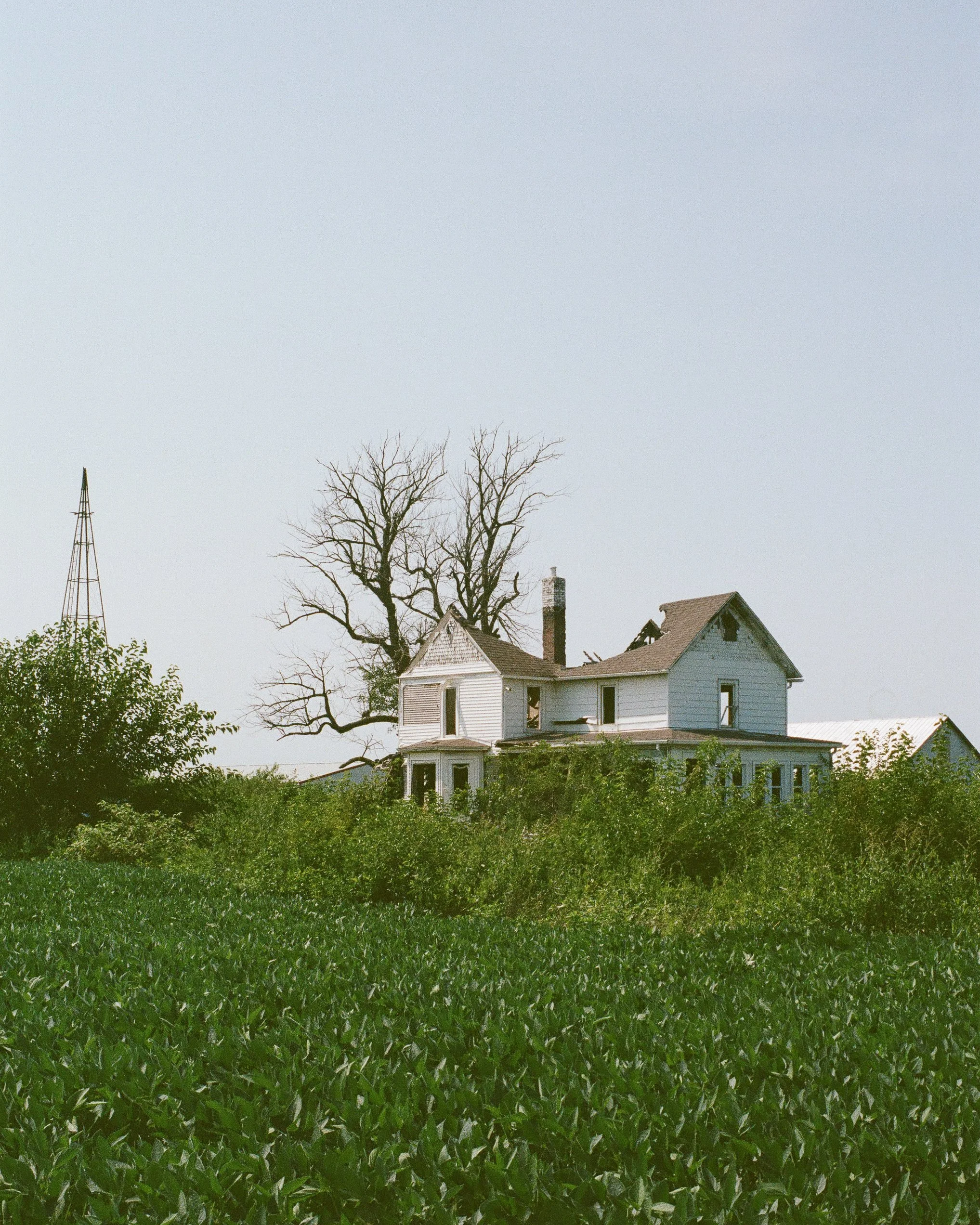 F2 Film Adventures-14.jpg