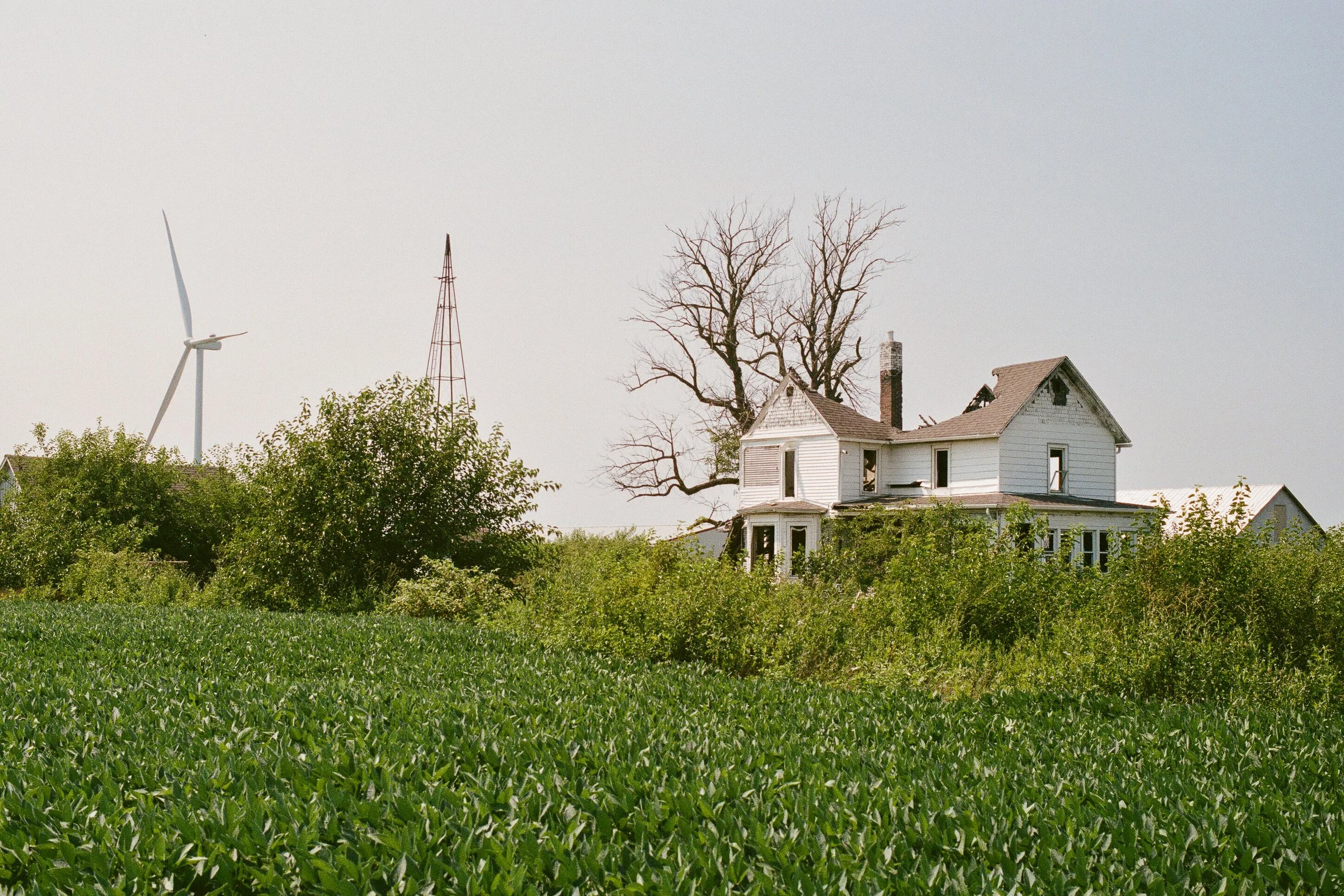 Life On Film Archives -4.jpg