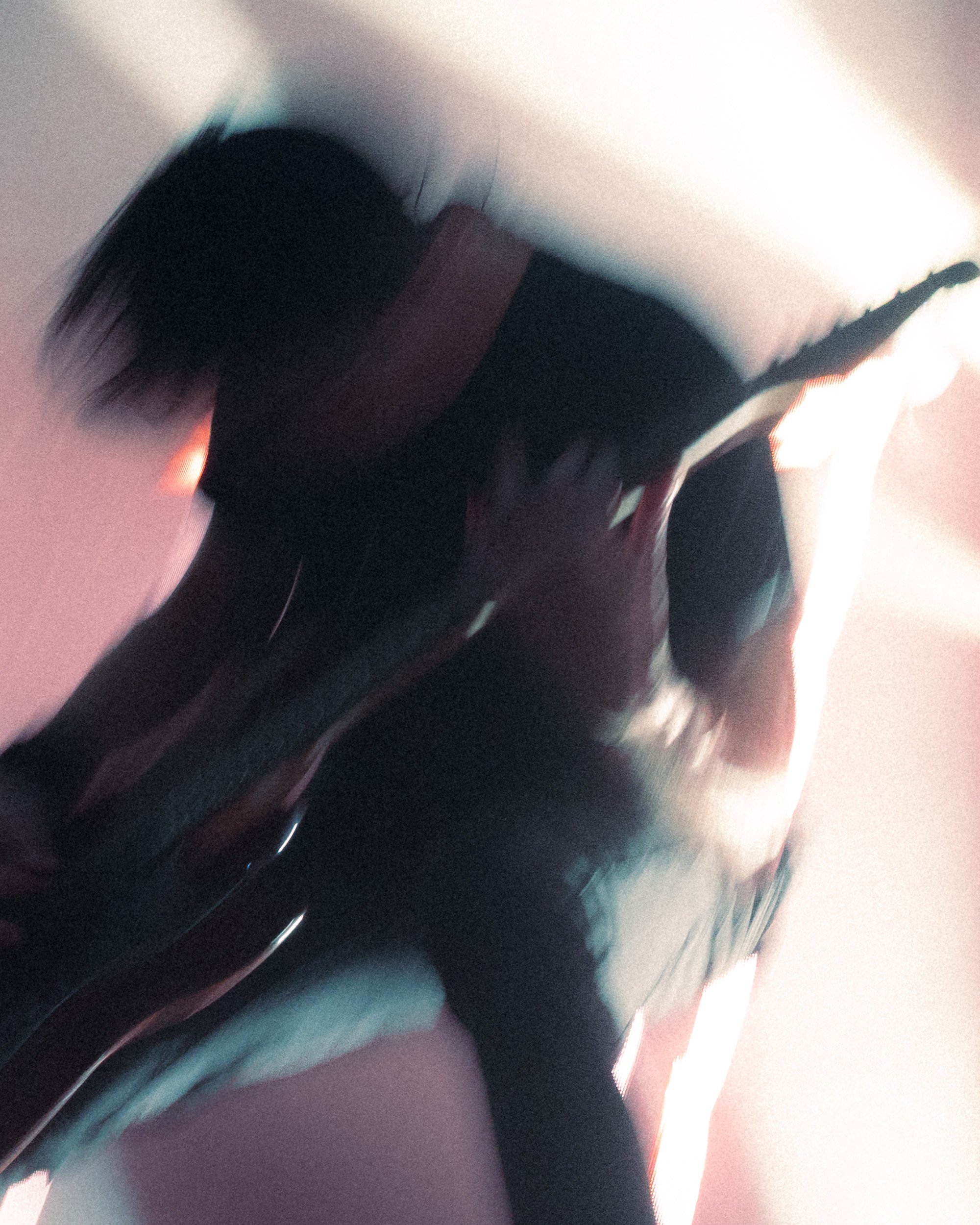 Chevelle Portfolio-1.jpg