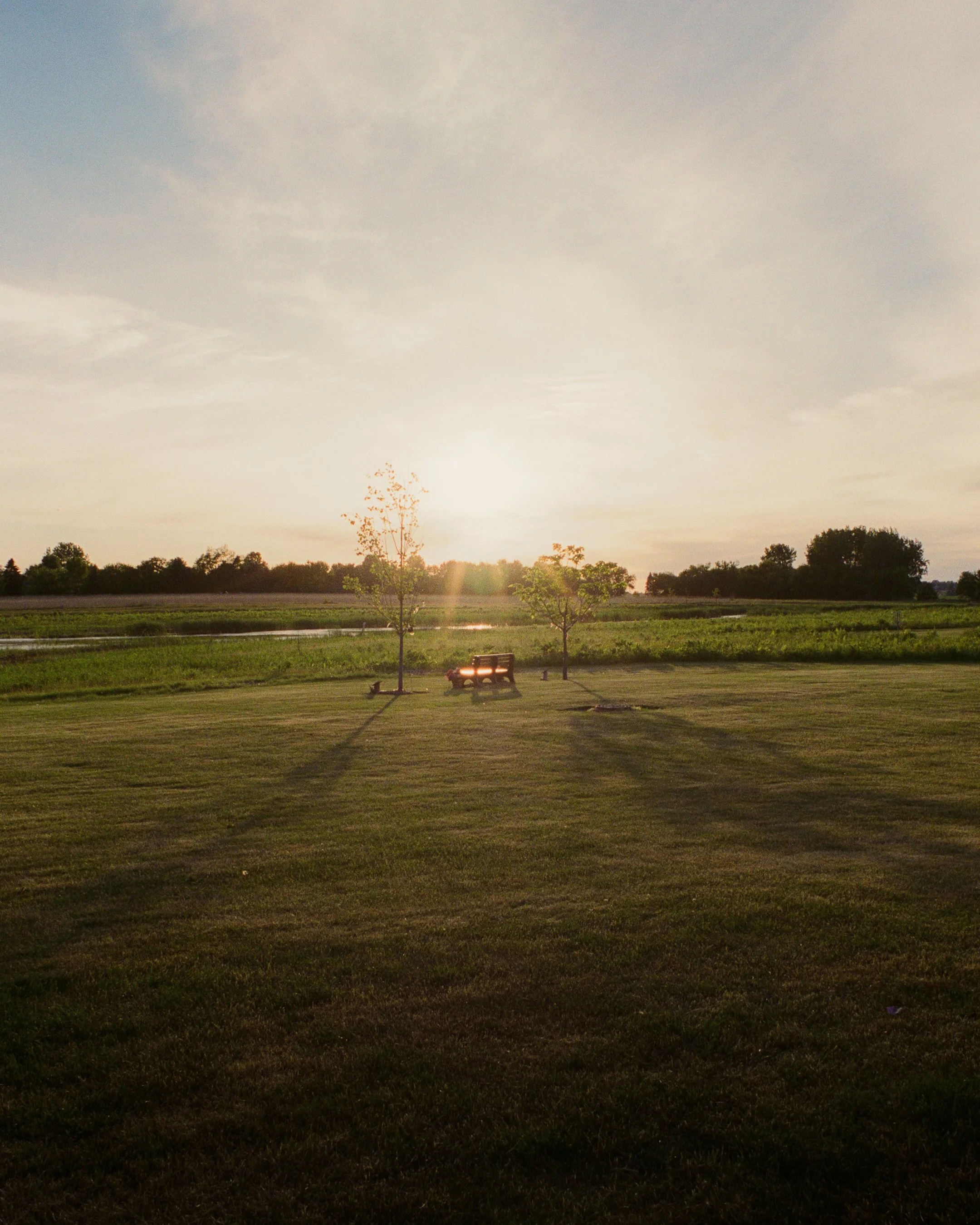 Life in Poynor Park-1.jpg