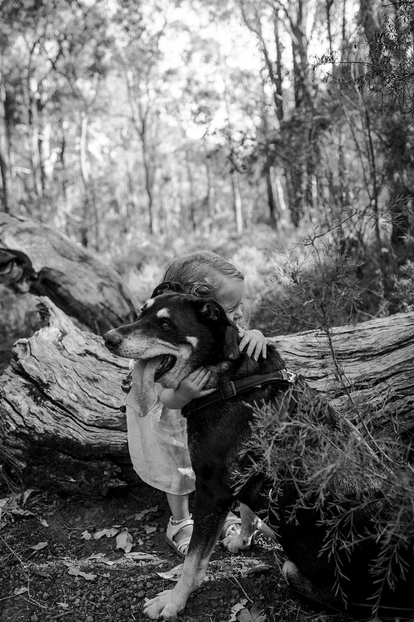 Holly Murphy Photography 