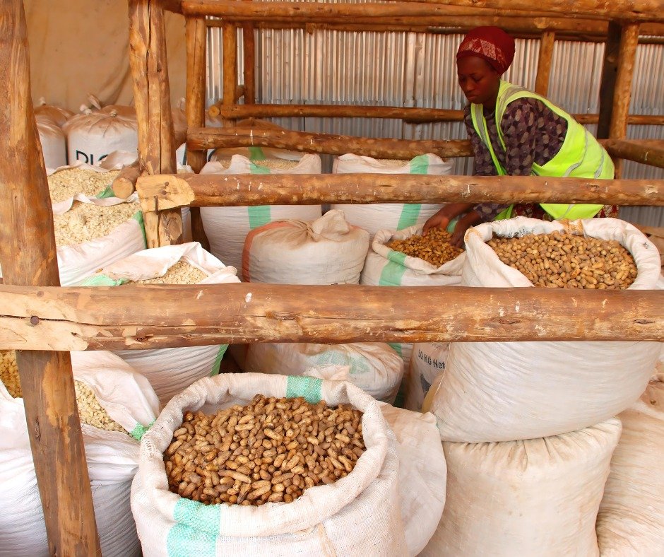 We thank God for the recent harvest of beans, maize (corn), and peanuts we have reaped from our fields! This abundant harvest will help feed our children, and our agricultural workers will receive wages that allow them to provide for their families. 