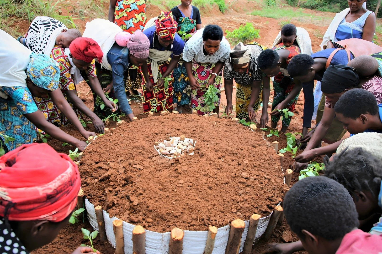 "Many hands make light work." This proverb illustrates how a difficult task becomes easier to complete when many people work together. In this picture, the women participating in our Program to Combat Malnutrition are working together to pl