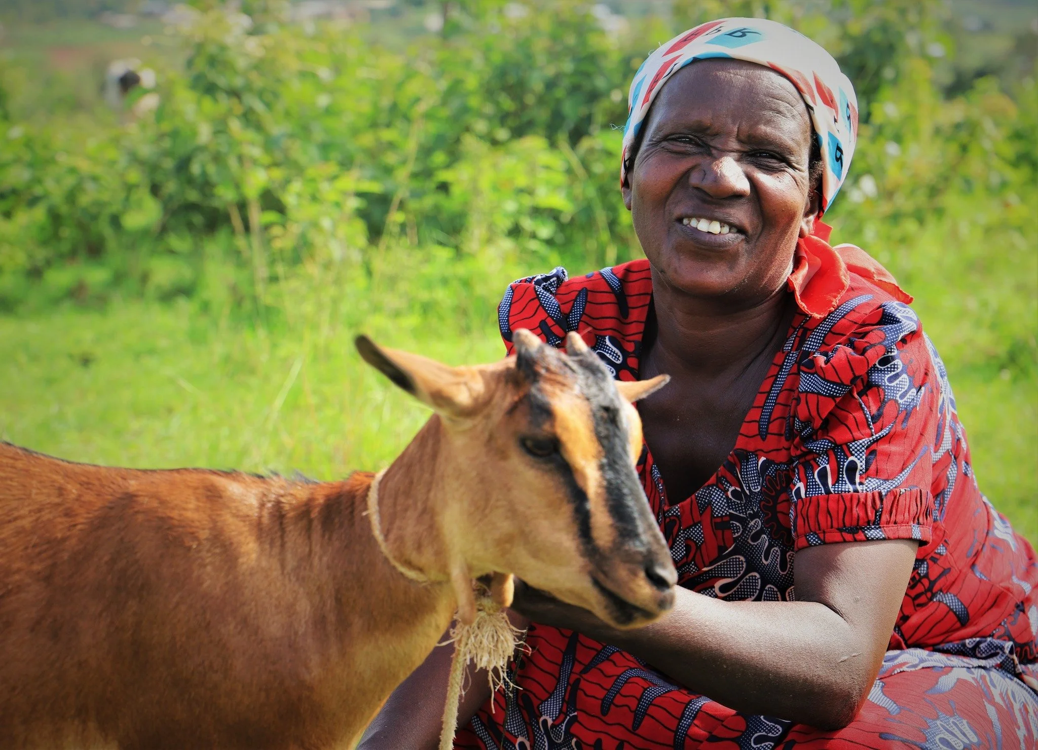 Do something great today, and give a goat!

When you give a goat, you&rsquo;re not just donating livestock&mdash;you&rsquo;re launching a livelihood for a Rwandan family or widow. Goats thrive in Rwanda&rsquo;s warm climate. They produce nutrient-ric