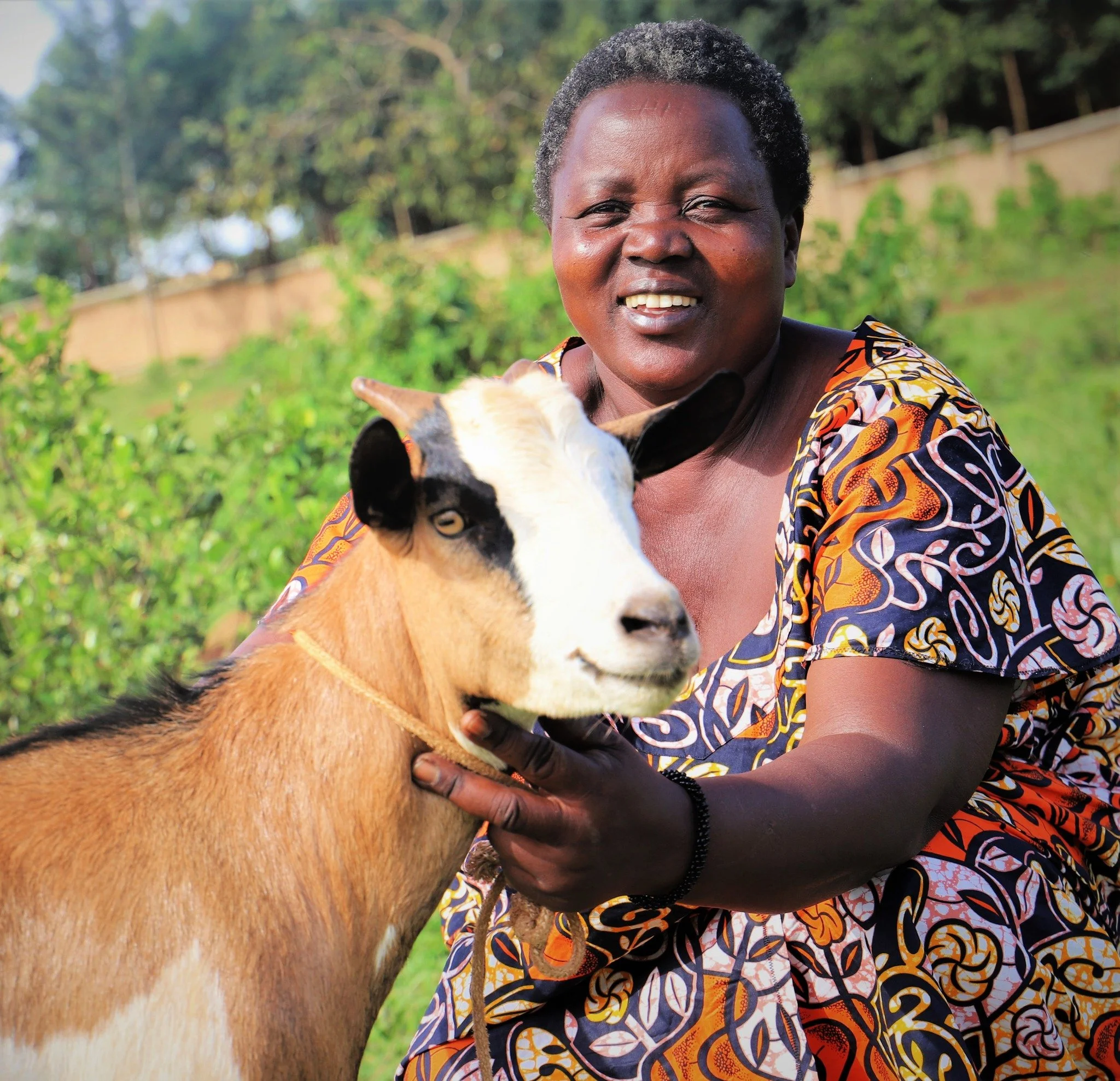 Do something great today, and give a goat!

When you give a goat, you&rsquo;re not just donating livestock&mdash;you&rsquo;re launching a livelihood for a Rwandan family or widow. Goats thrive in Rwanda&rsquo;s warm climate. They produce nutrient-ric