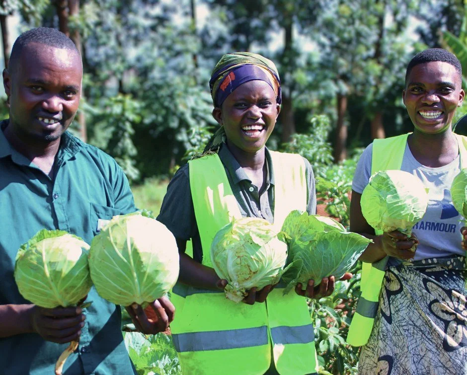 This week, neighbors employed through Rwanda Children joined our agronomist, Jean De Dieu Mujyambere, to harvest cabbage from our agricultural program.

They worked side by side in the kind of unity that is hard to manufacture and easy to recognize.
