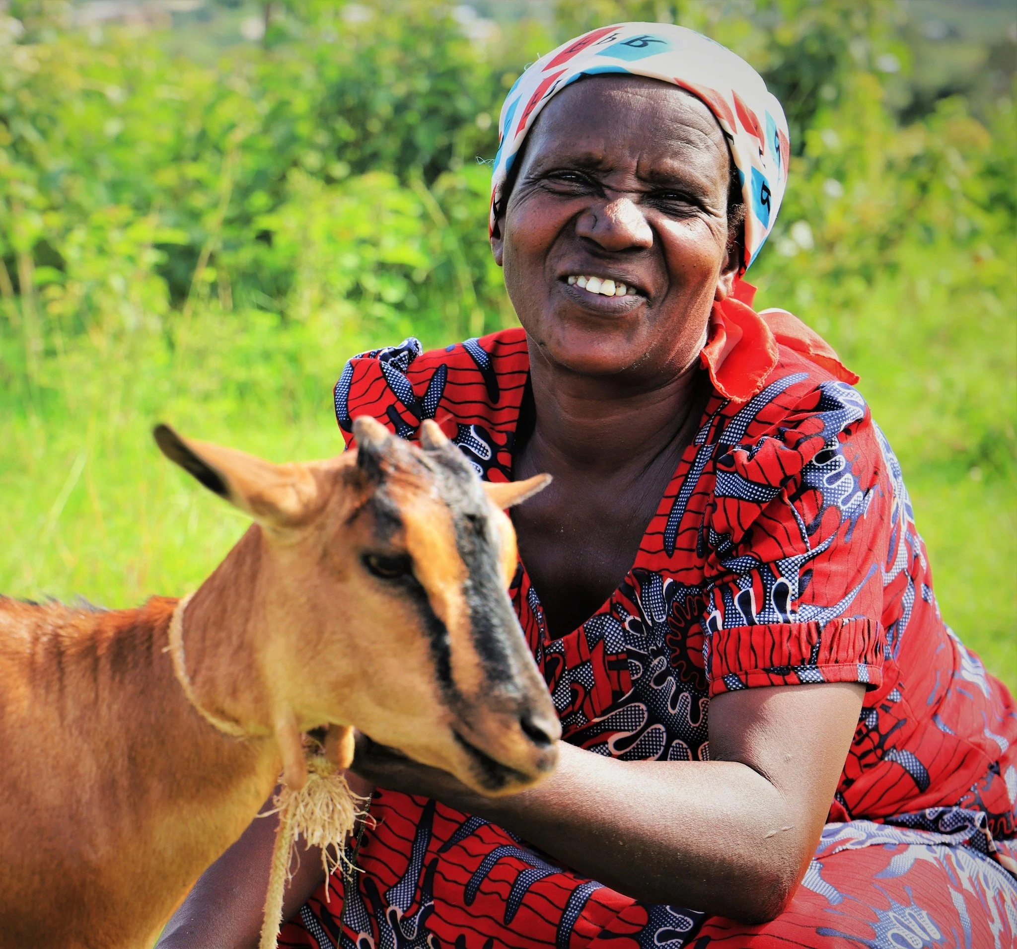 A goat is a small business on four hooves.

A goat can help a family grow more food, earn income, and build stability over time. For a widow or a family with few options, it represents a genuine path forward.

For $70, you can place a goat into the h