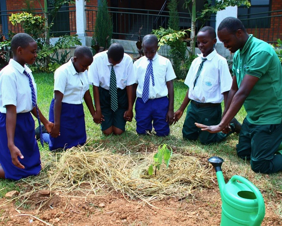 After King planted the tree, something unexpected happened.

He knelt beside it.

His friends knelt with him.

Agronomist Jean De Dieu Mujyambere knelt too.

Before anyone walked away, they bowed their heads and prayed.

They prayed over a young avoc