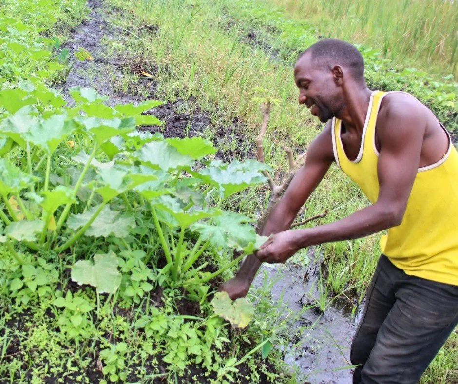 &ldquo;This loan will help me move forward through vegetable farming and pay my children's school fees when schools reopen in September.&rdquo;

Jean Claude Havugimana received this small microfinance loan through Rwanda Children&rsquo;s Family Trans