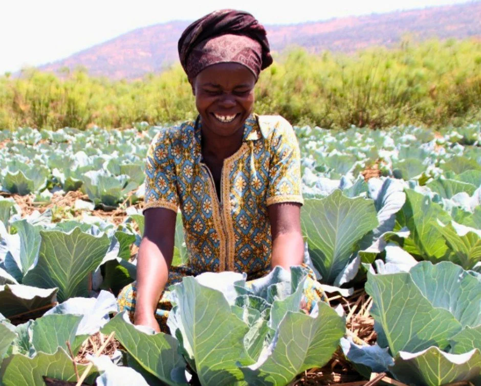 Every cabbage in this field has a child waiting for it.

Daphrose Nyirabagenzi spends her days tending the crop&mdash;checking the plants, pulling weeds, and making sure each one has what it needs.

&ldquo;When I take care of these cabbages, I know t