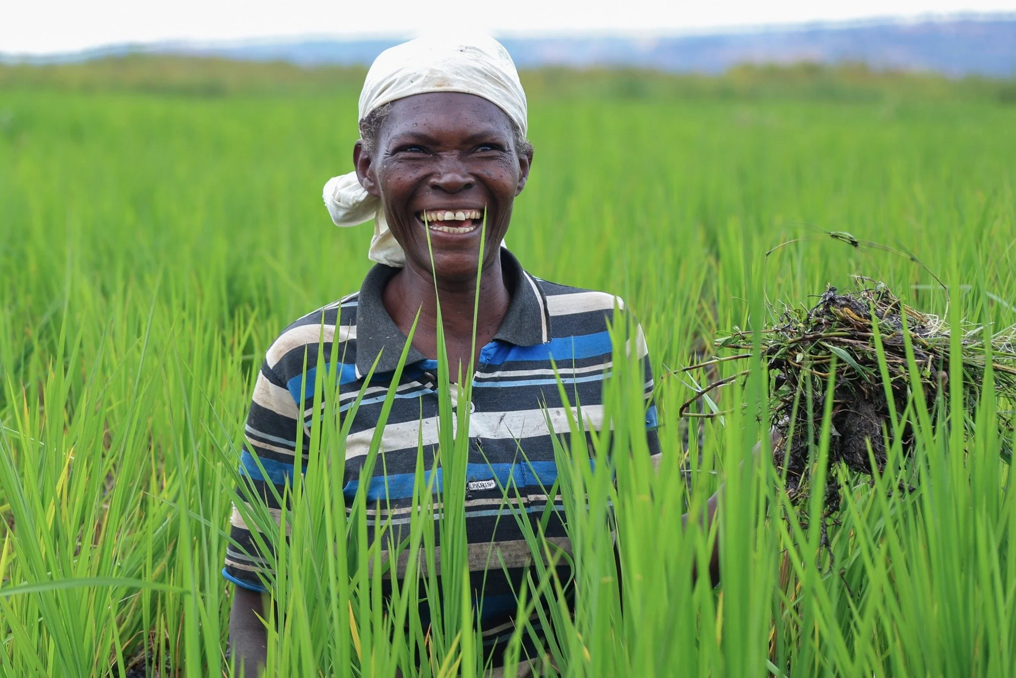 Rosarie has worked part-time on our agricultural projects for three years. This week, she was in the rice marshland with the rest of the crew, pulling weeds ahead of the January harvest.

Her earnings have helped her build her own livelihood. She now