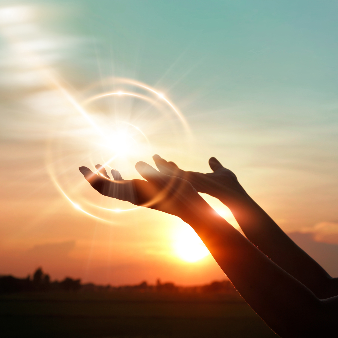 ROAR Mindset Newsletter December 2025 