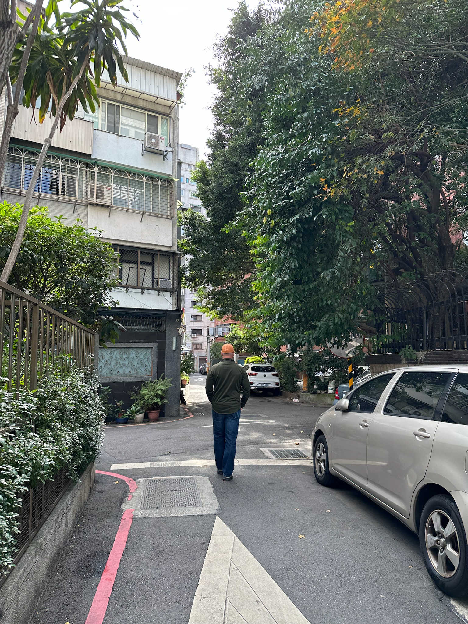 ROAR Mindset Newsletter February 2026