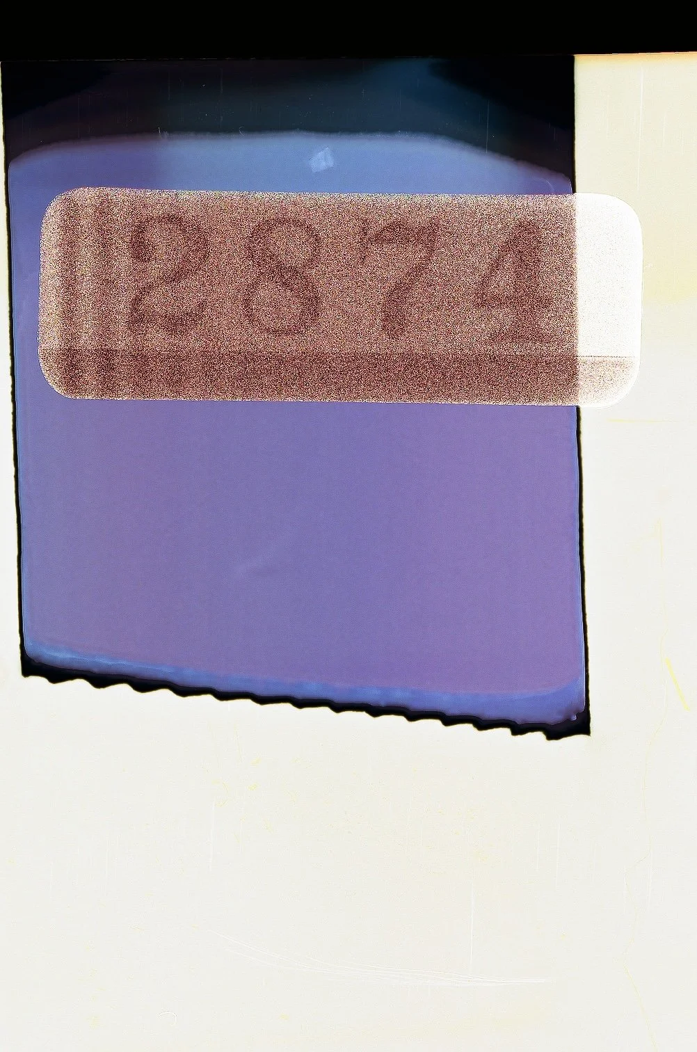 0001195.jpg