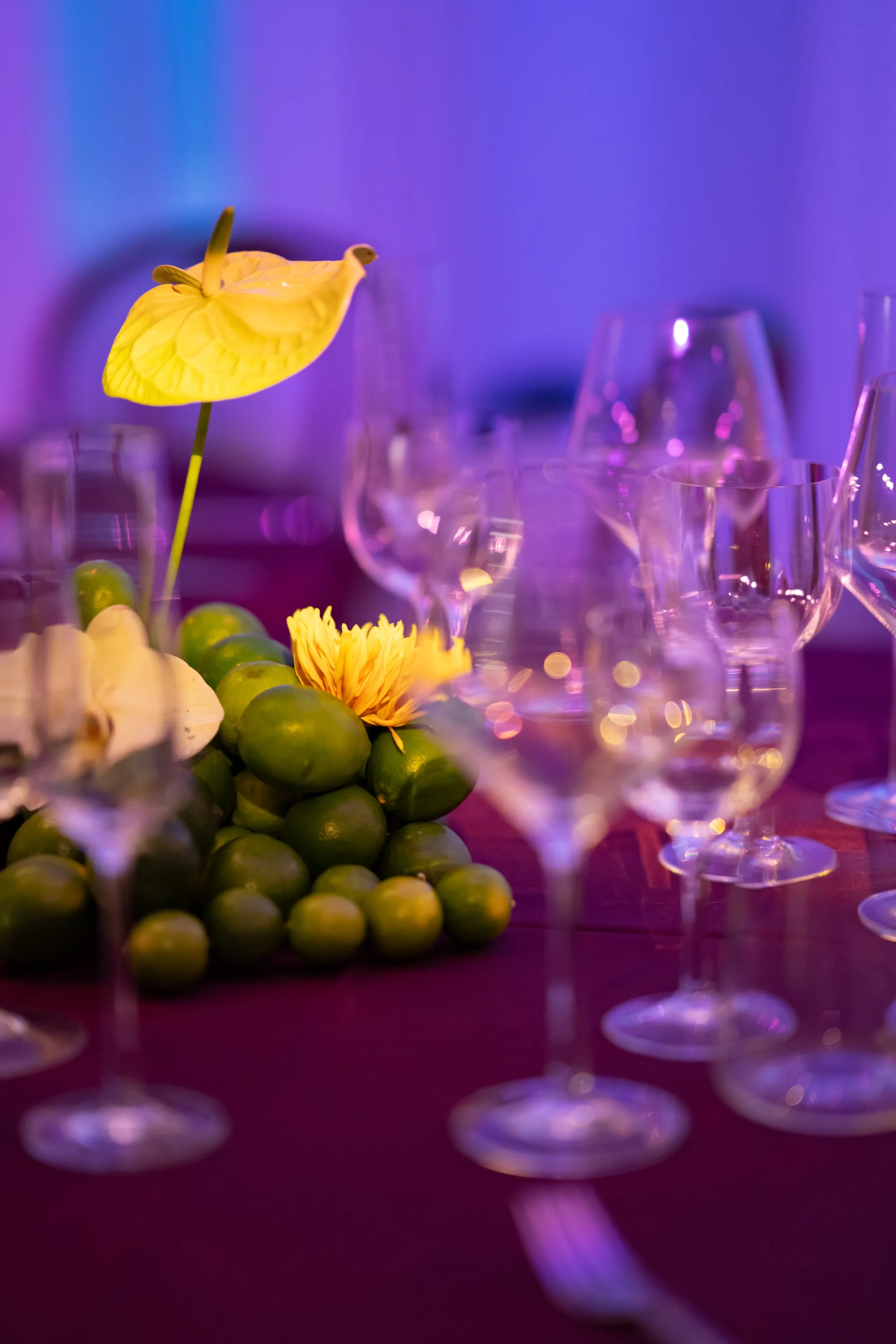 S-Lab Wednesday Tropicana Supper Club-07706.jpg