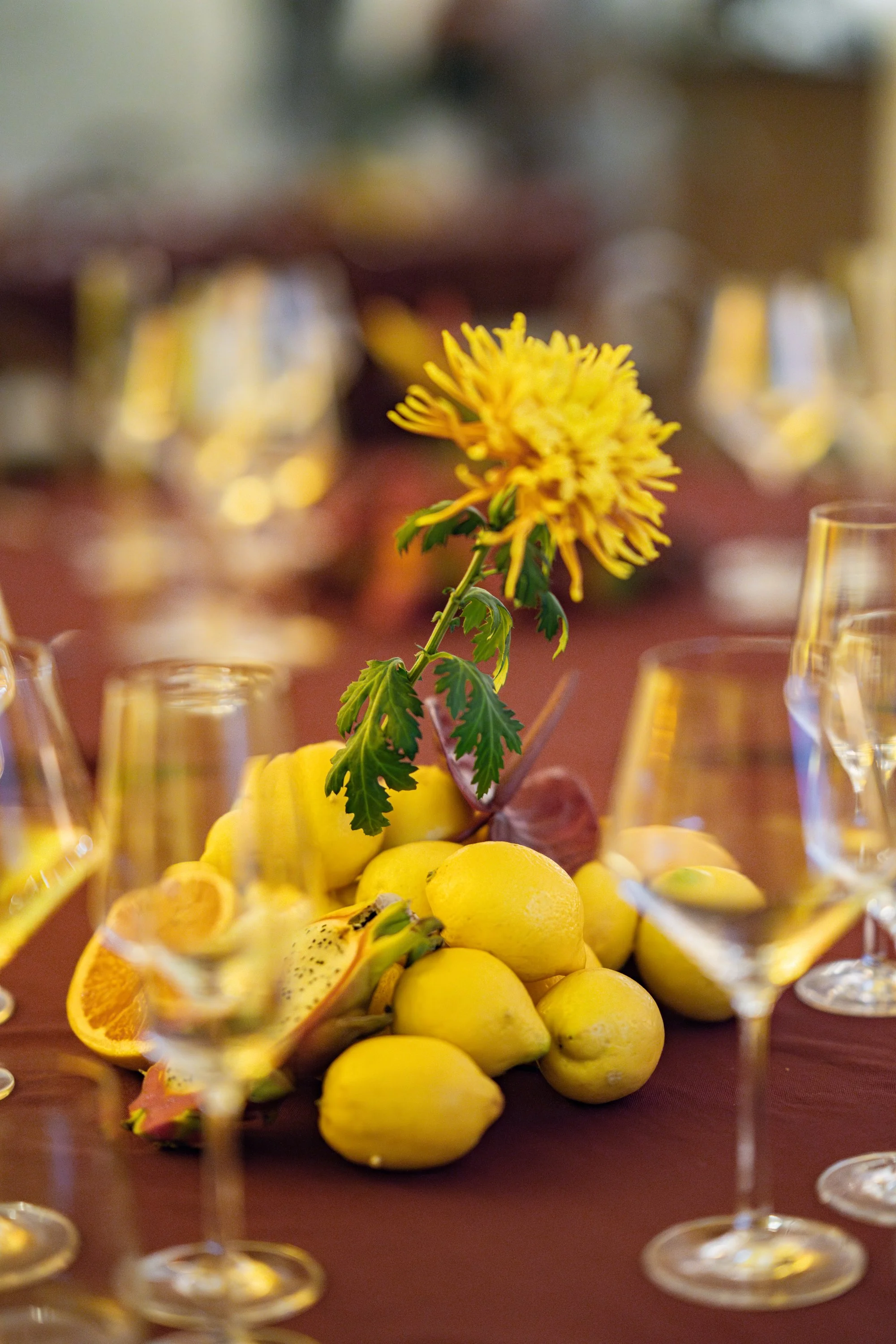 S-Lab Wednesday Tropicana Supper Club-.jpg