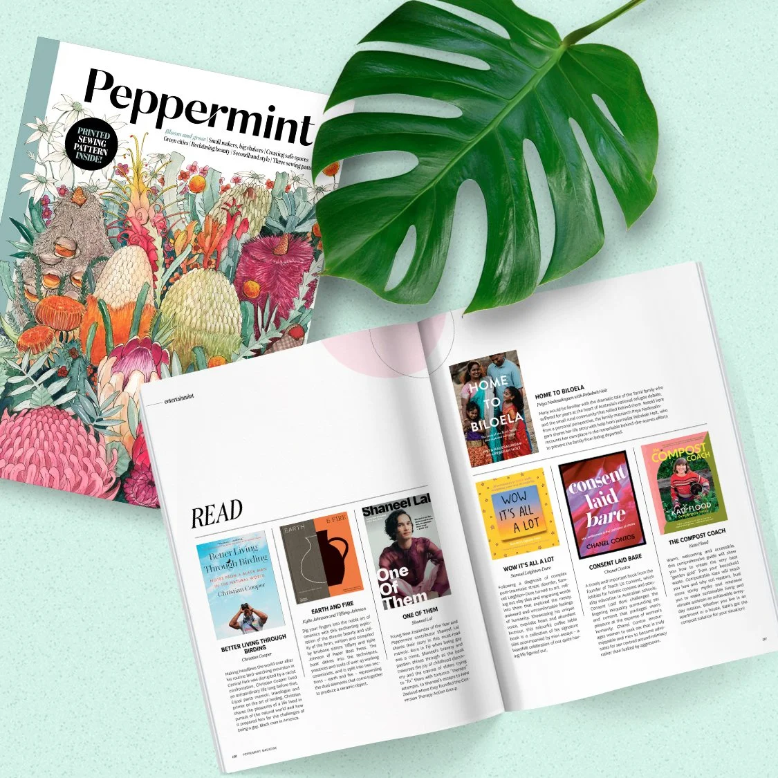 'Home to Bilo' in Peppermint Magazine